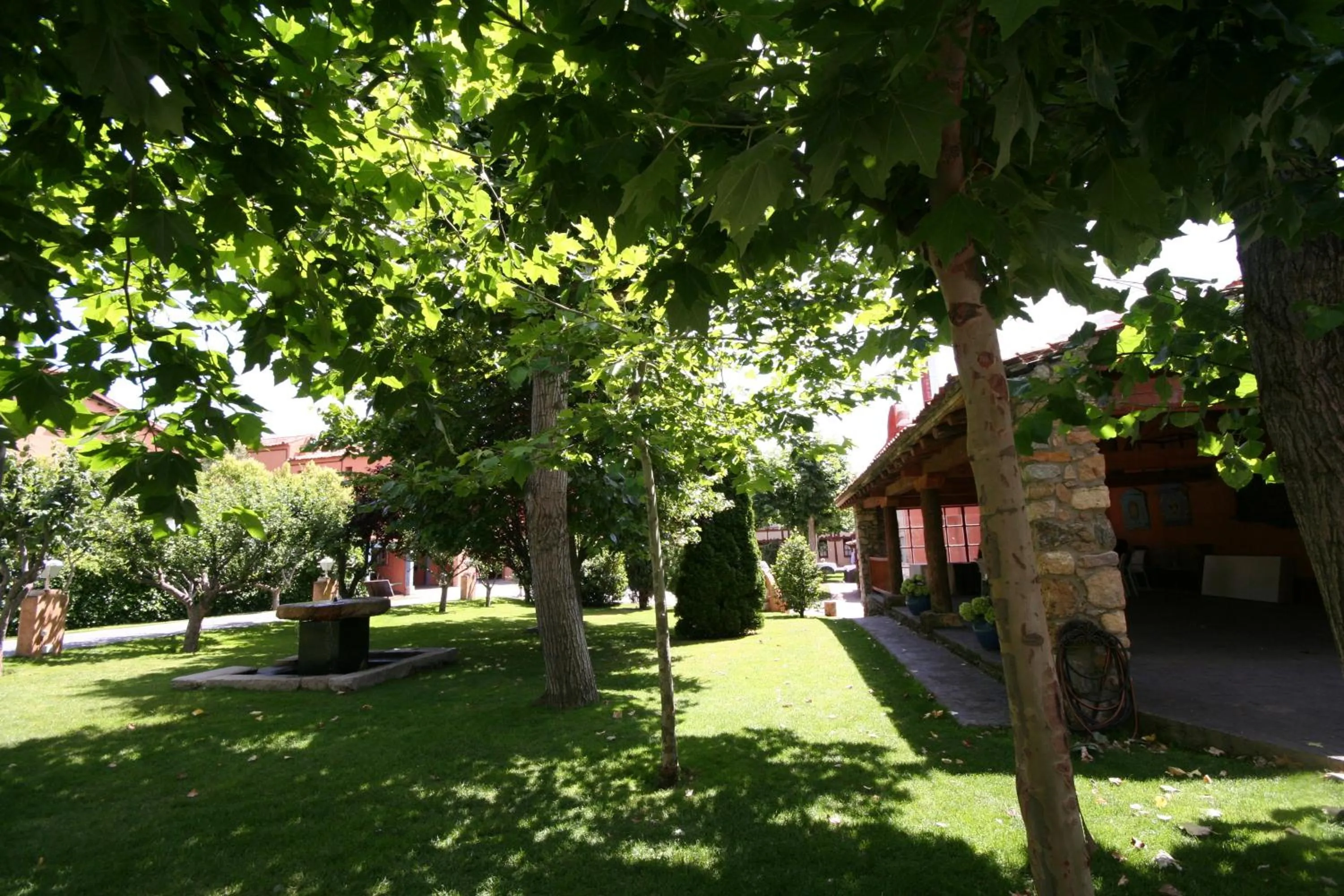 Garden in Hotel El Rancho