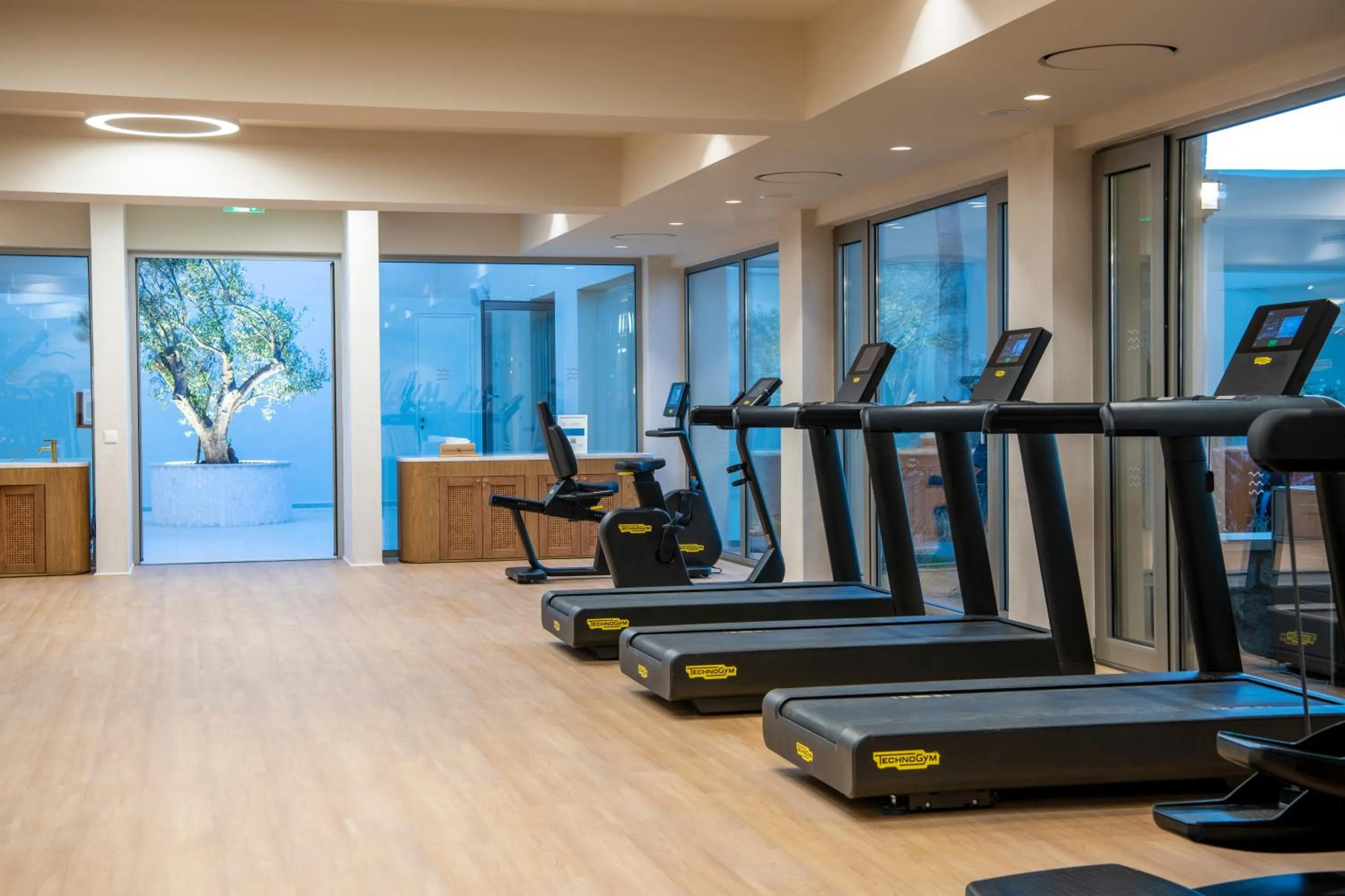 Spa and wellness centre/facilities in Aquila Rithymna Beach