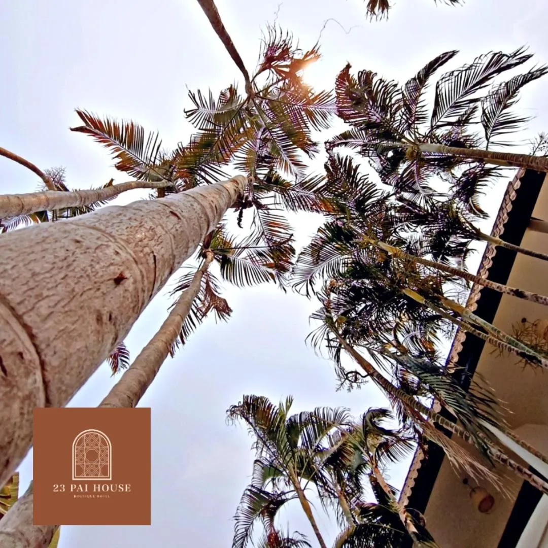 Garden in 23 PAI HOUSE boutique hotel