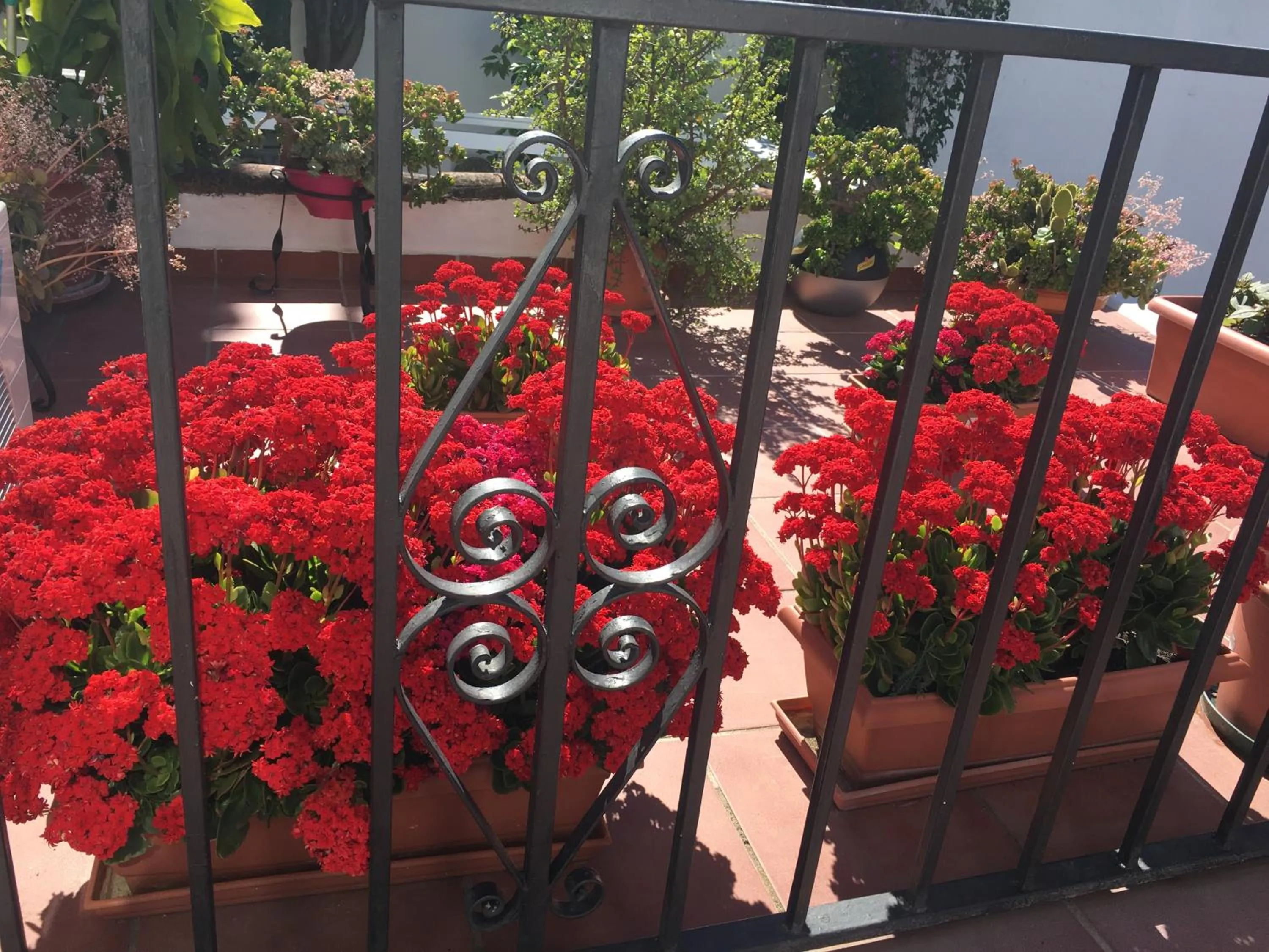 Balcony/Terrace in Pensión Aduar
