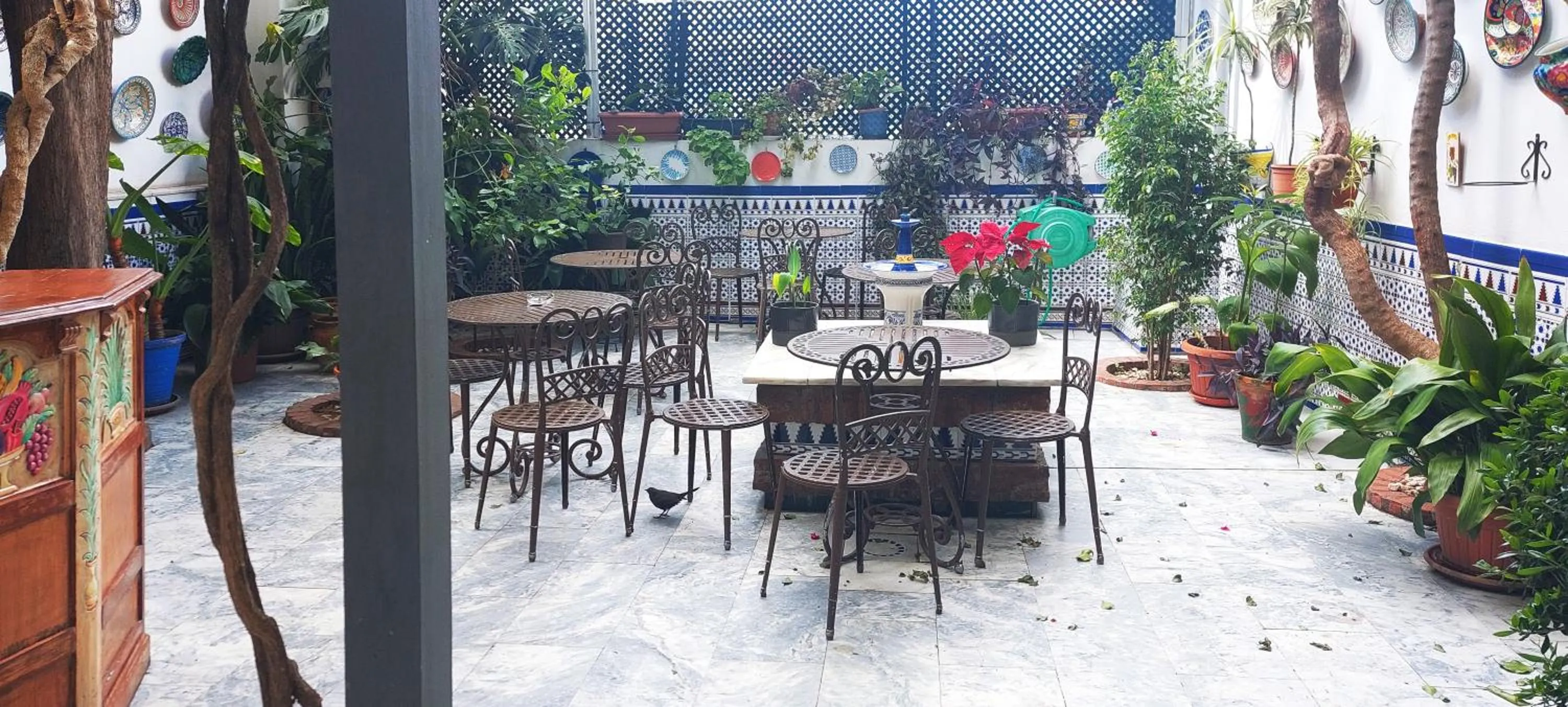 Property building in Pensión Aduar