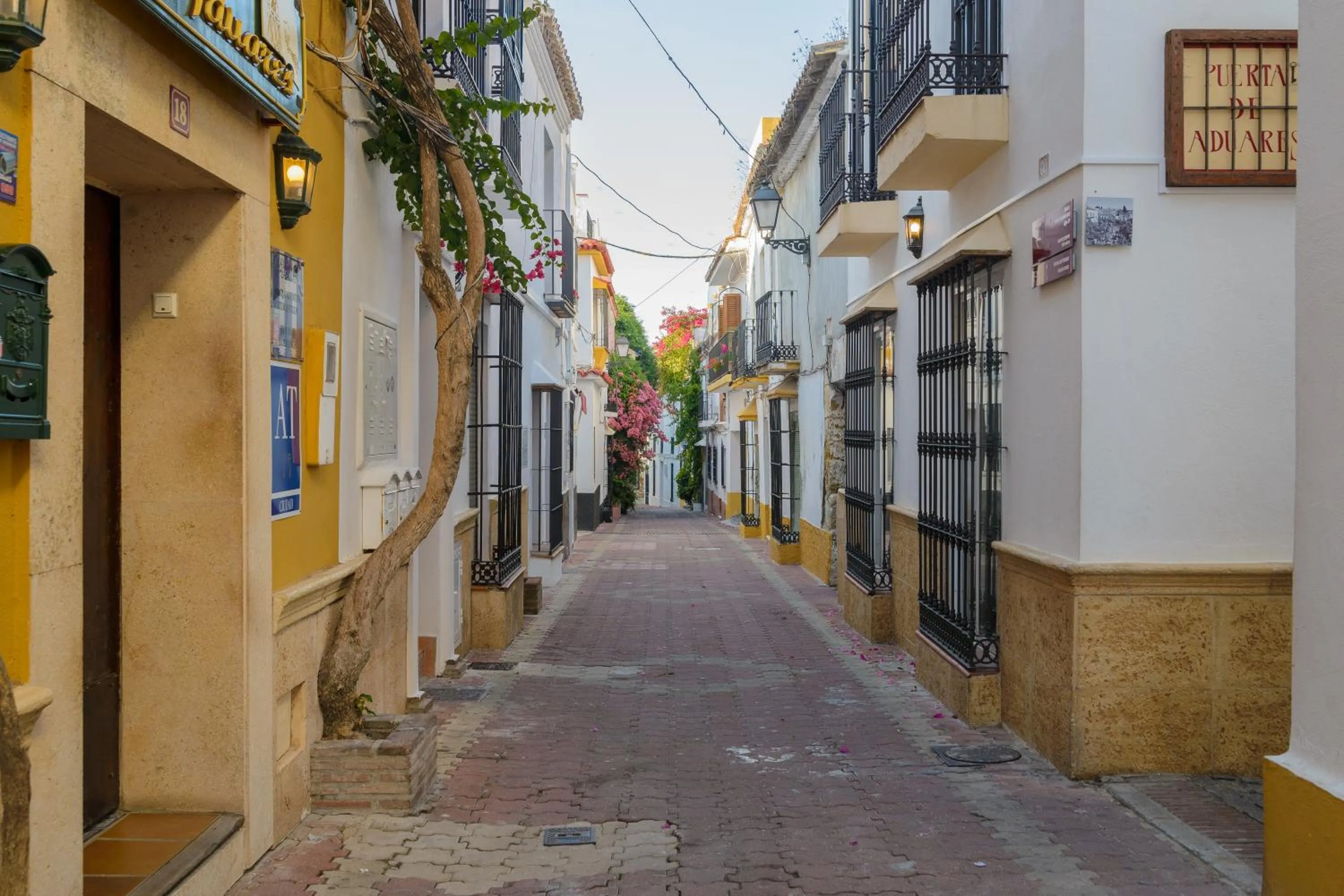 Area and facilities in Pensión Aduar