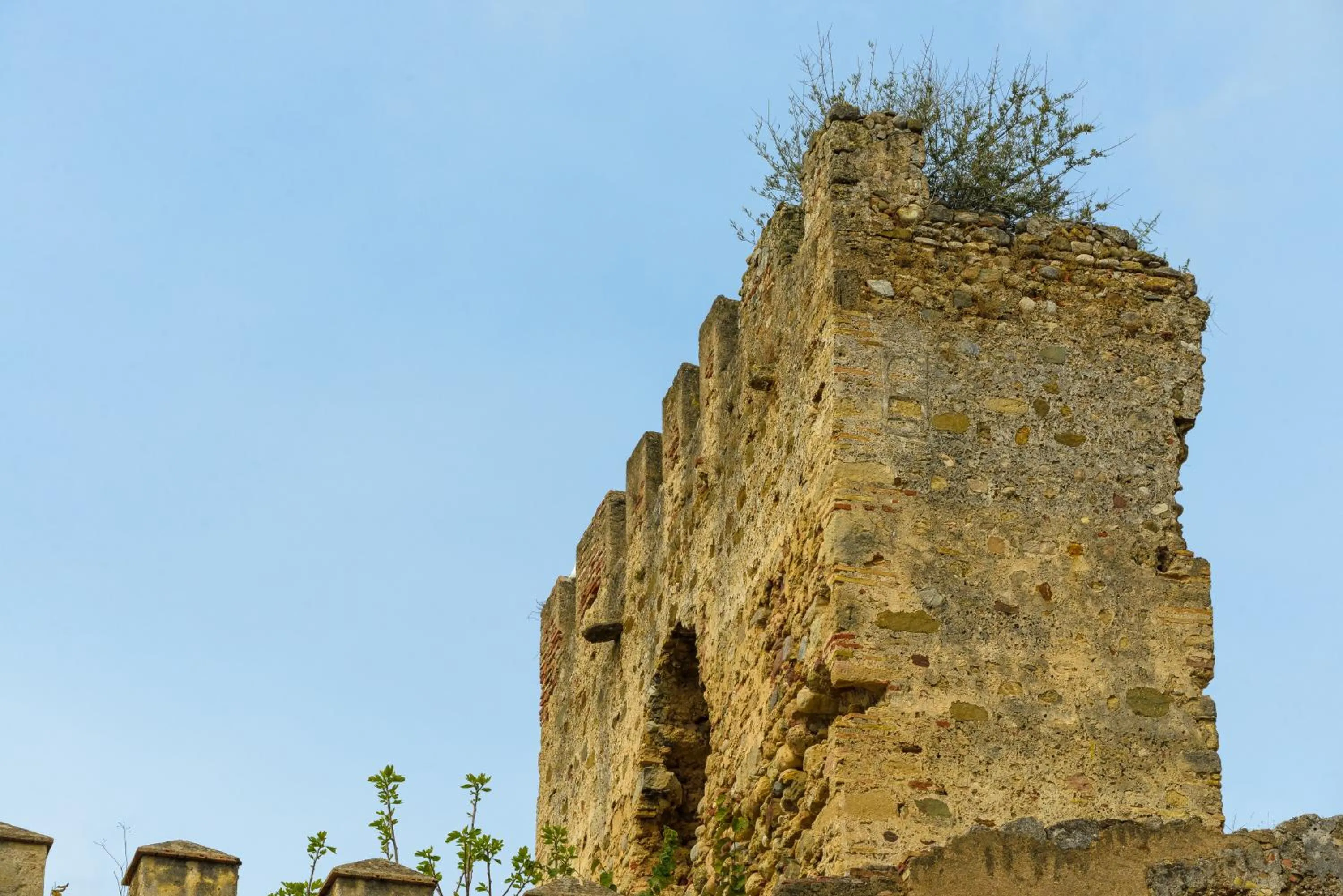 Area and facilities in Pensión Aduar