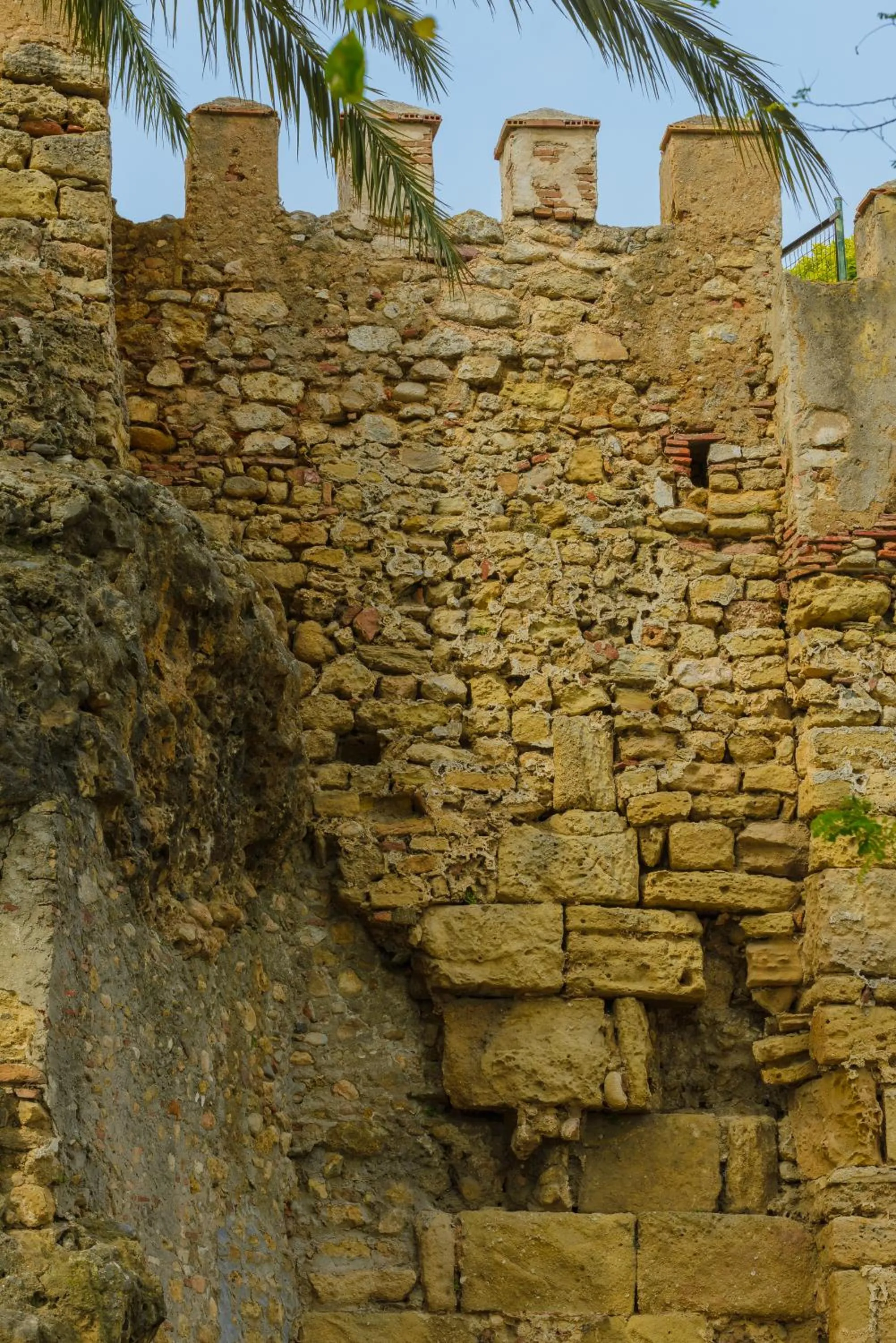 Area and facilities in Pensión Aduar