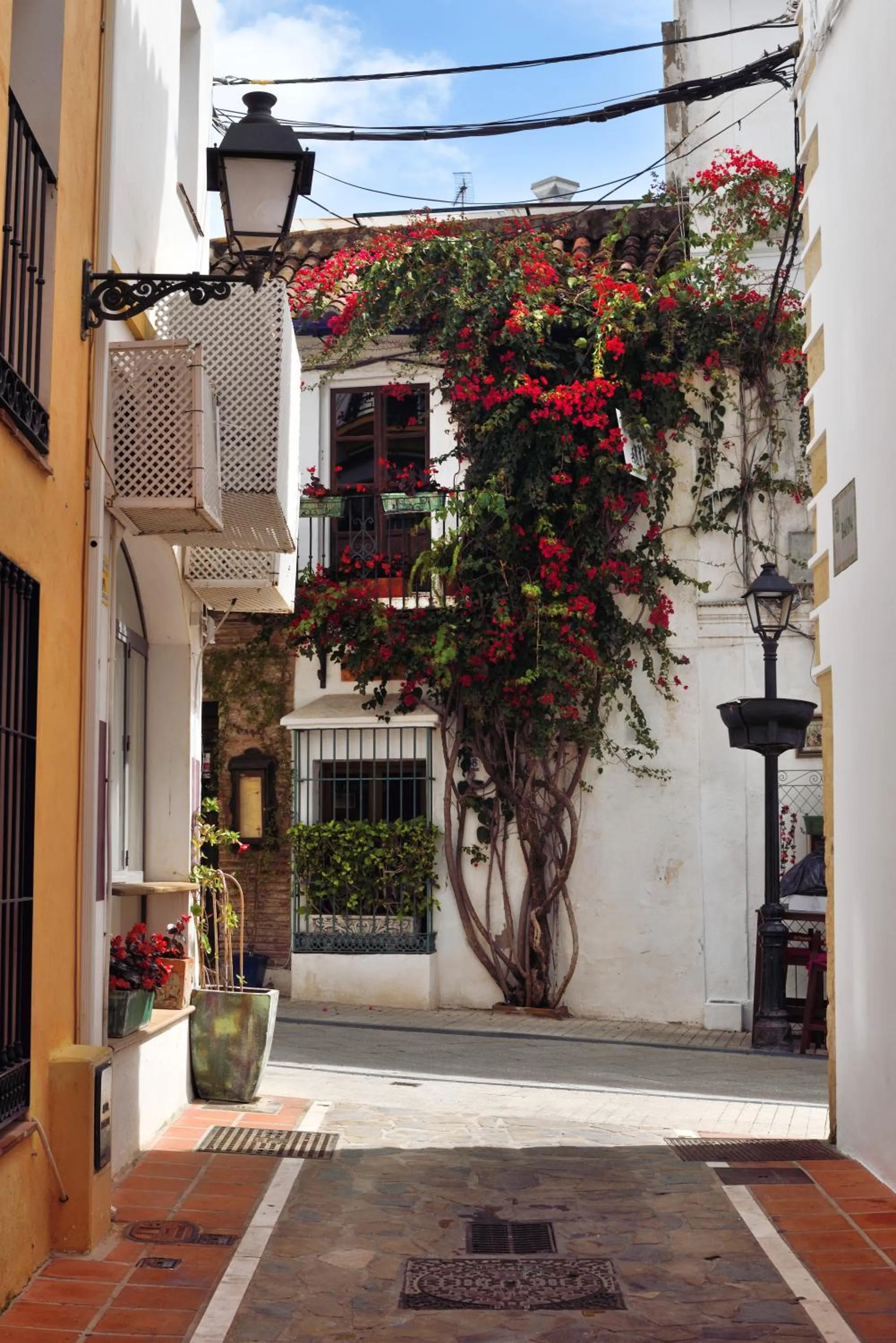 Property building in Pensión Aduar