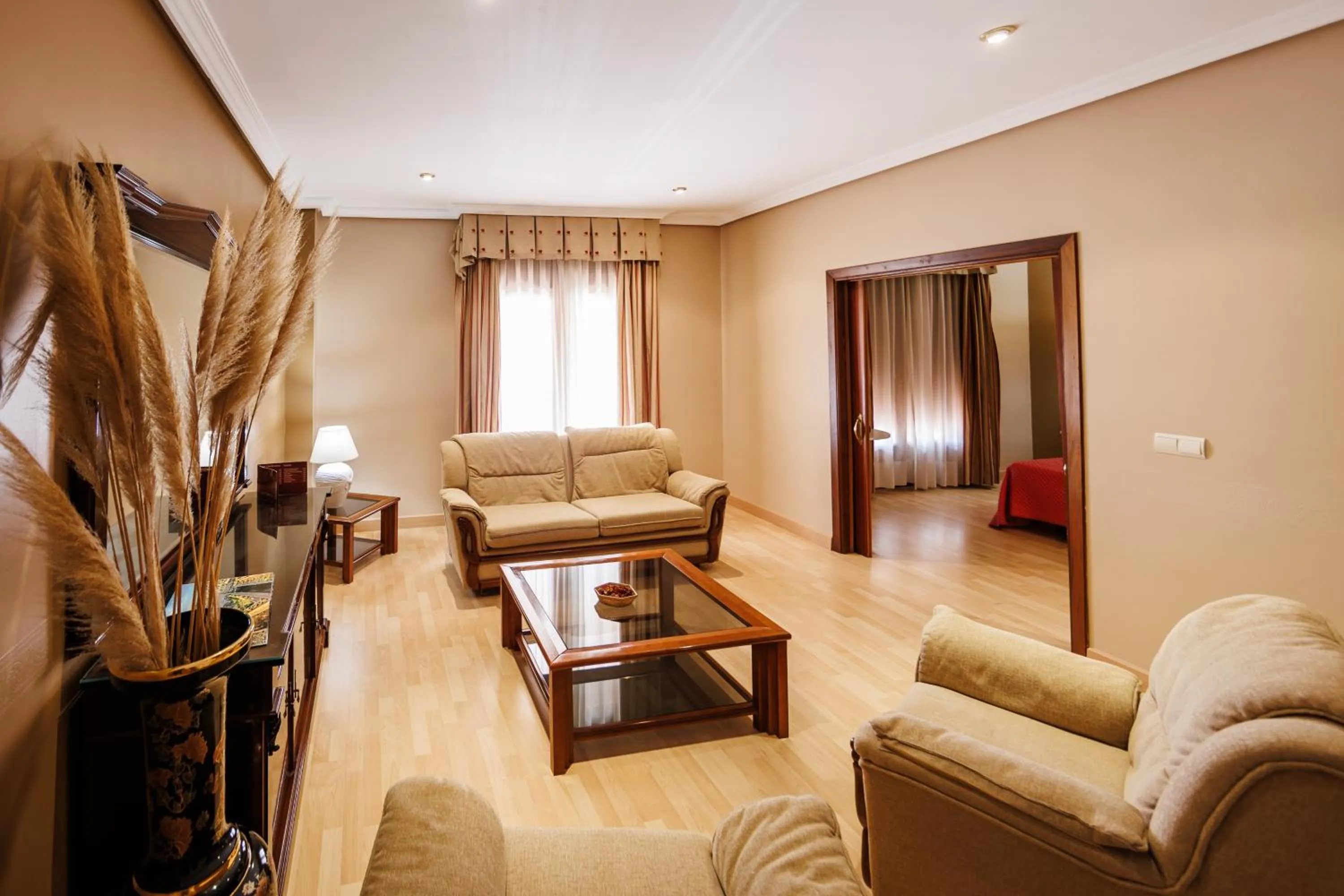 Living room in Hotel Acosta Vetonia