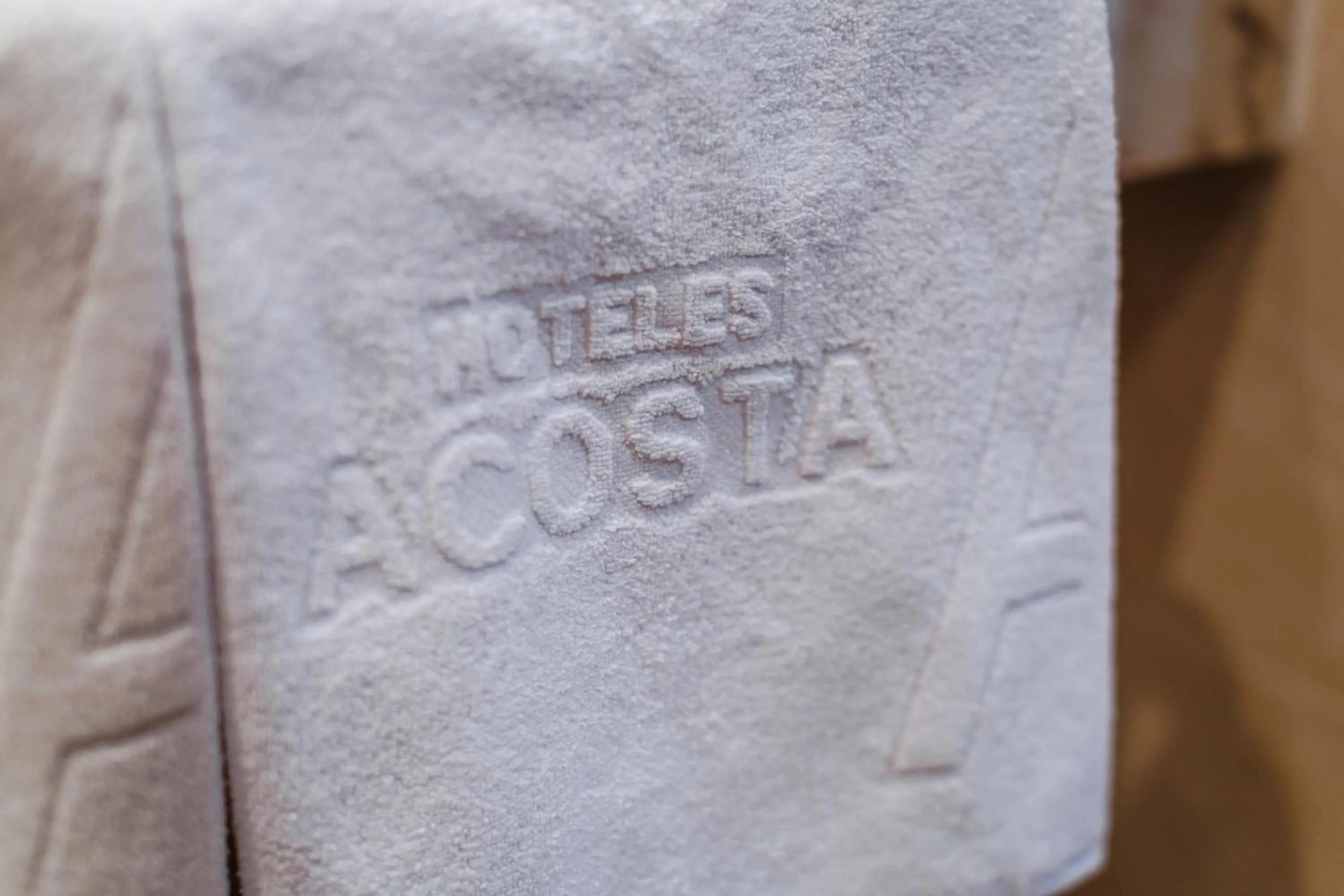 Decorative detail in Hotel Acosta Vetonia