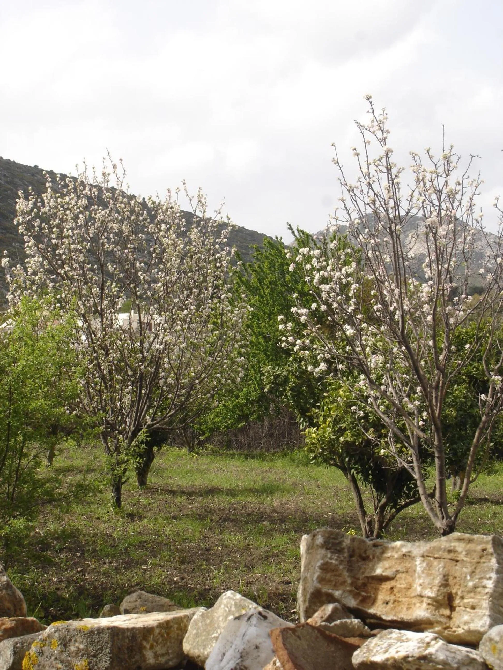 Other in Panorama Hotel