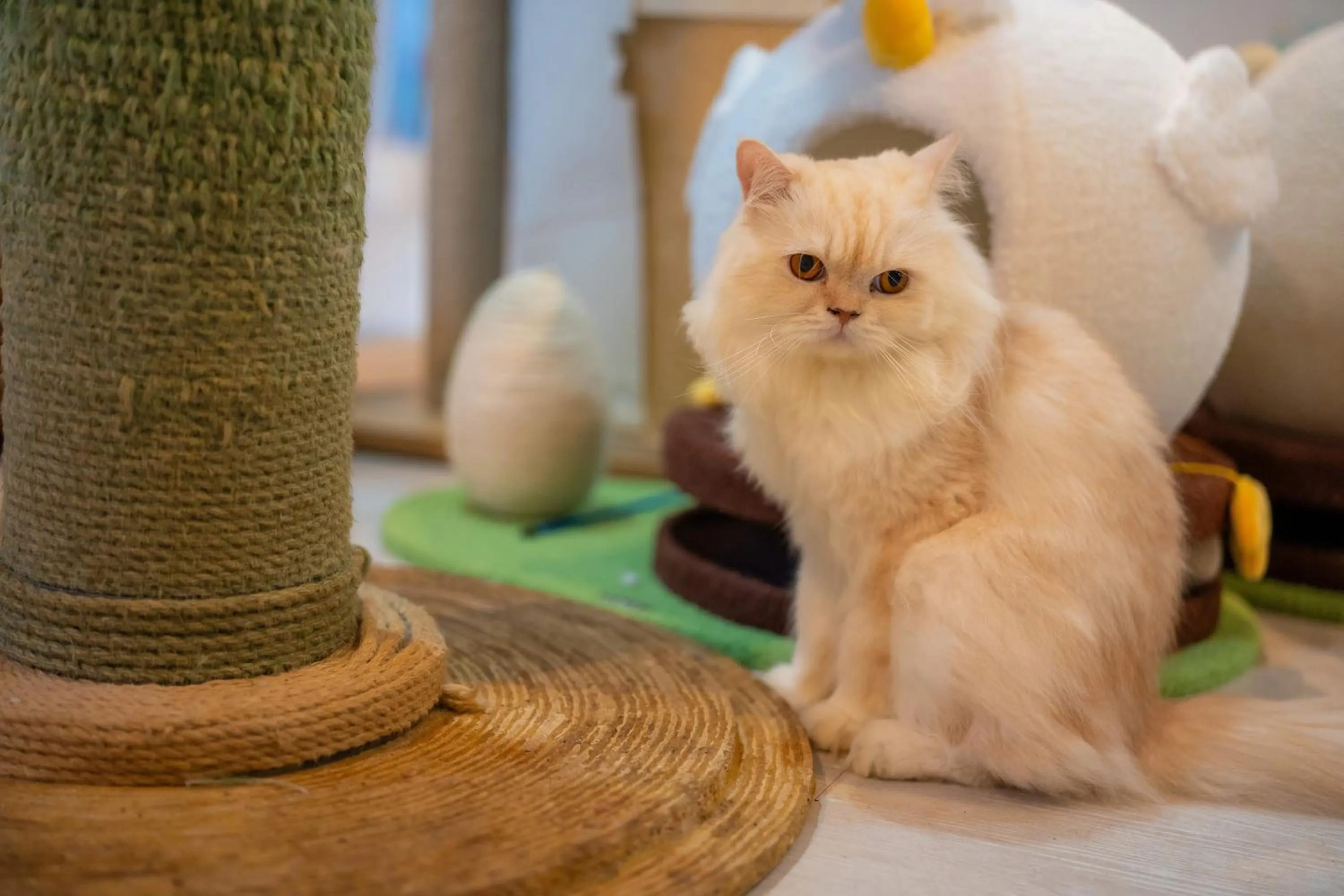 Patong Beach Side Hotel