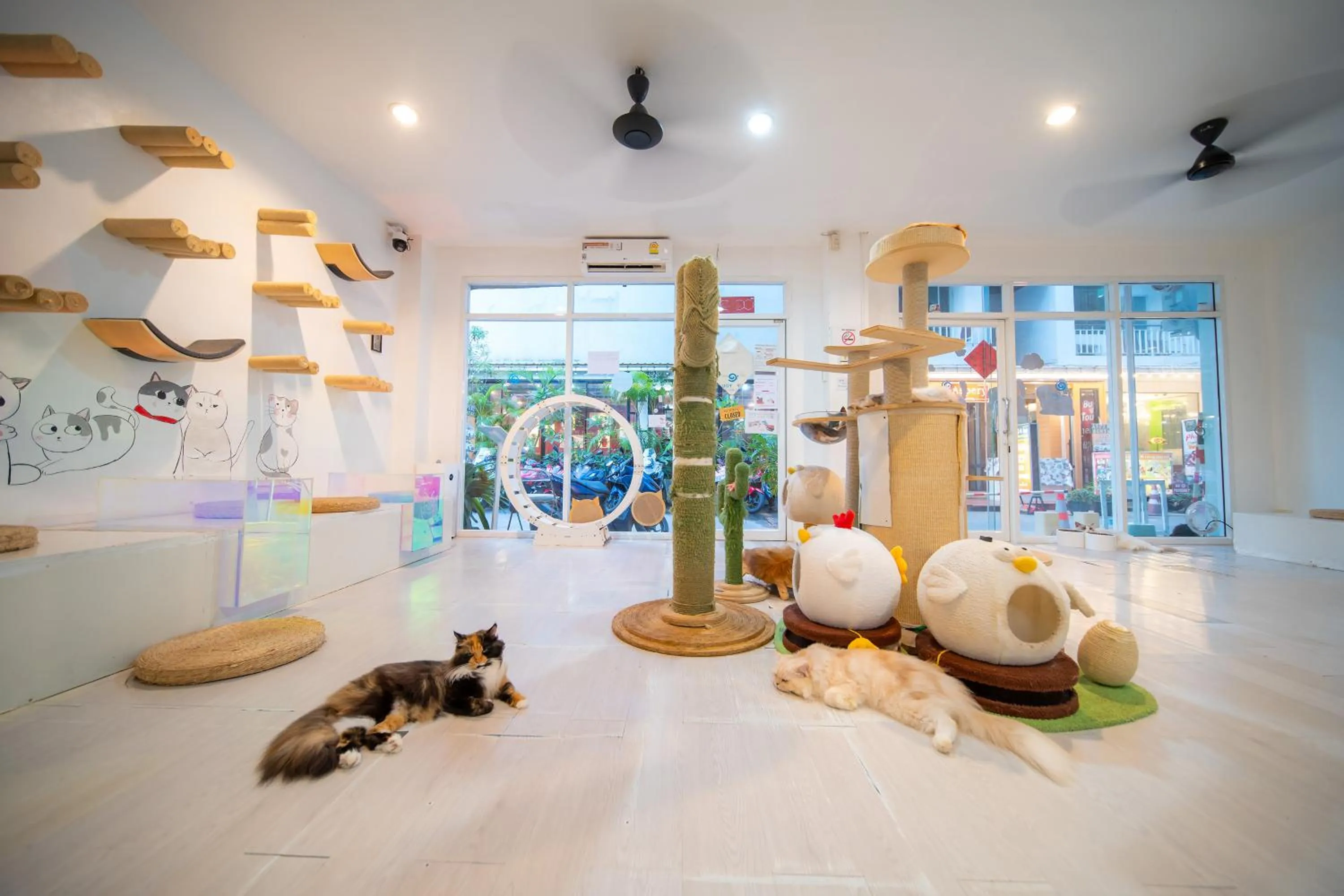 Patong Beach Side Hotel