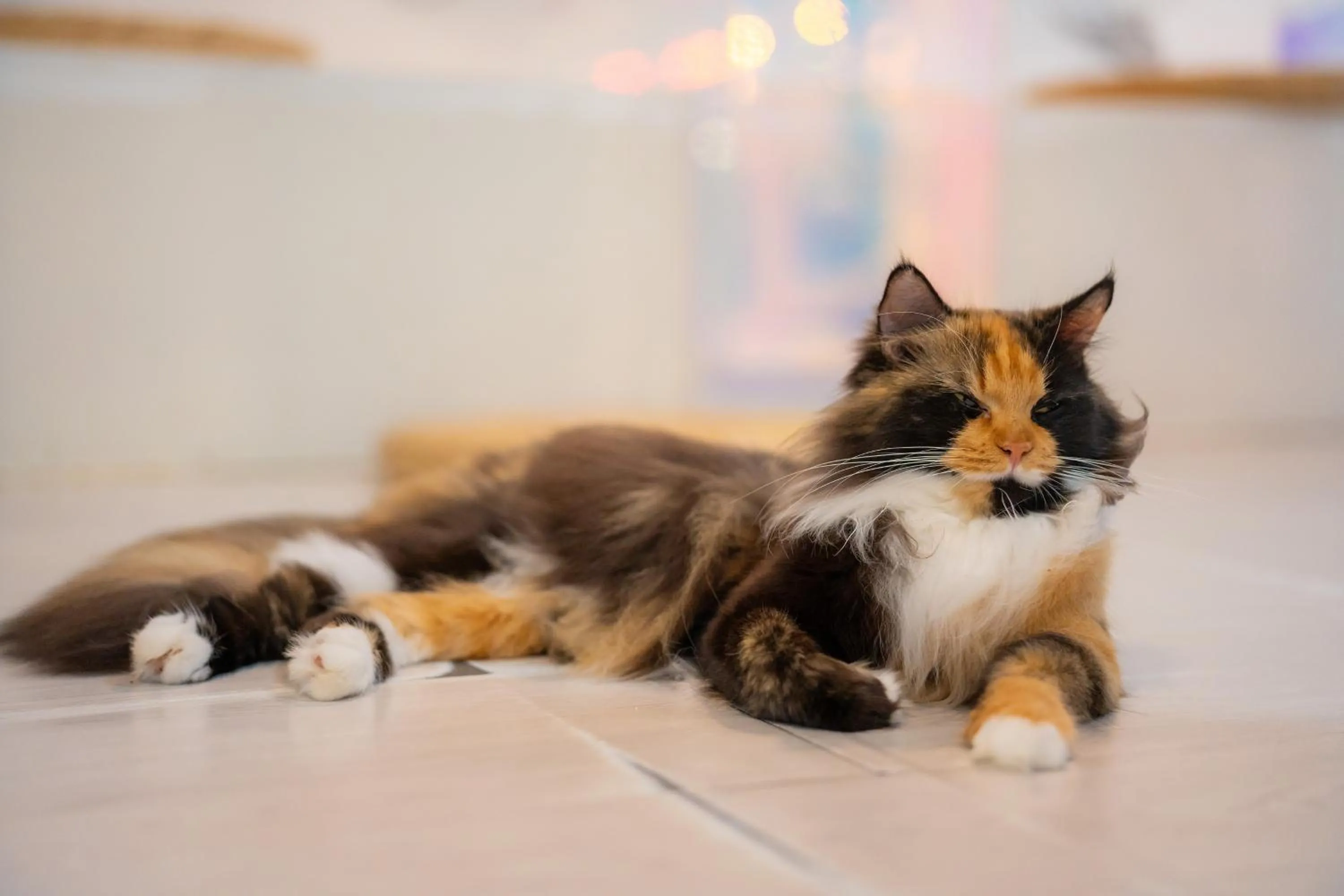 Patong Beach Side Hotel