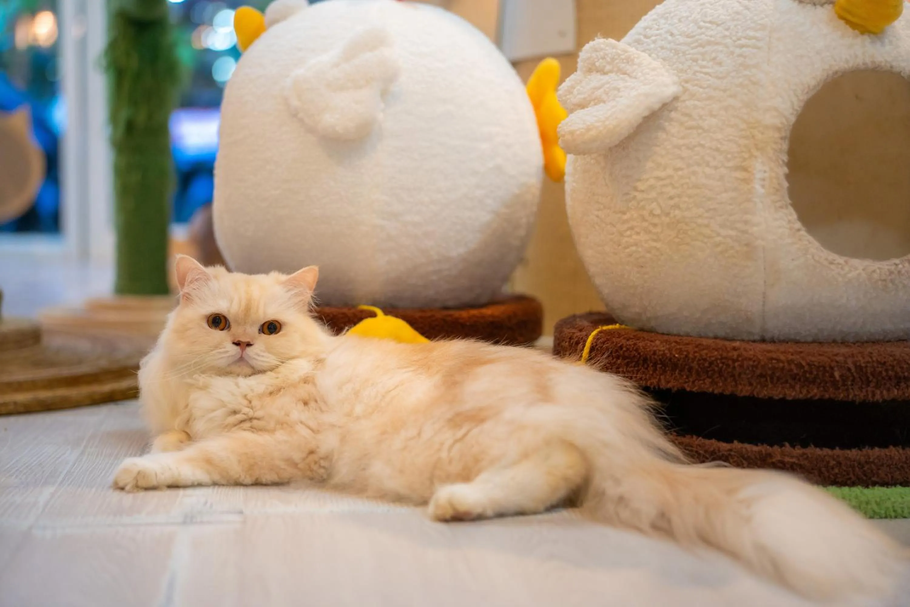 Patong Beach Side Hotel