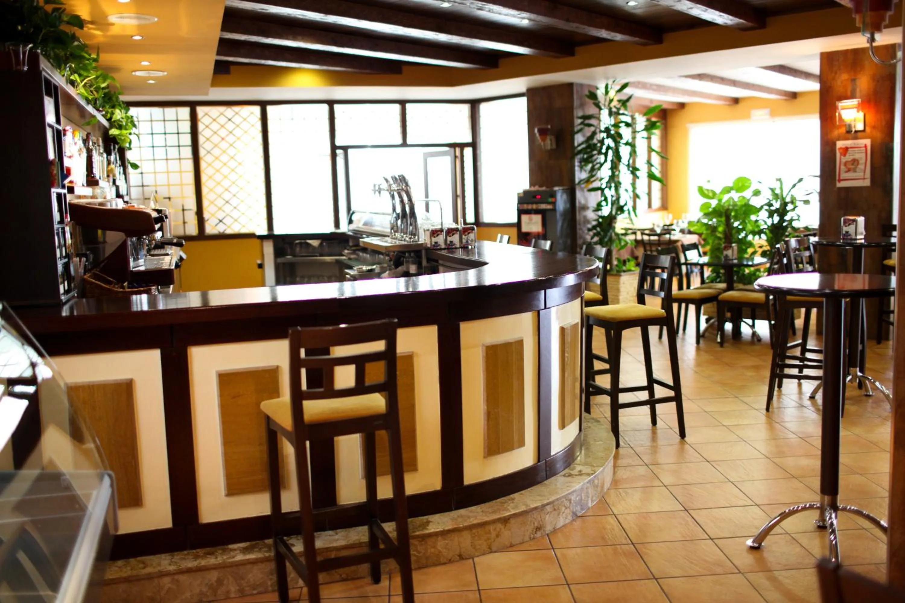 Lounge or bar in Hotel Rocio