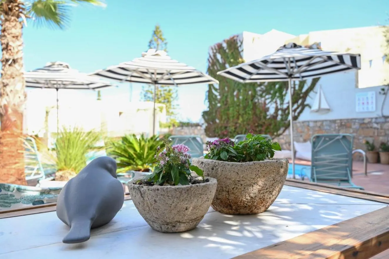 Swimming pool in Villa Iokasti