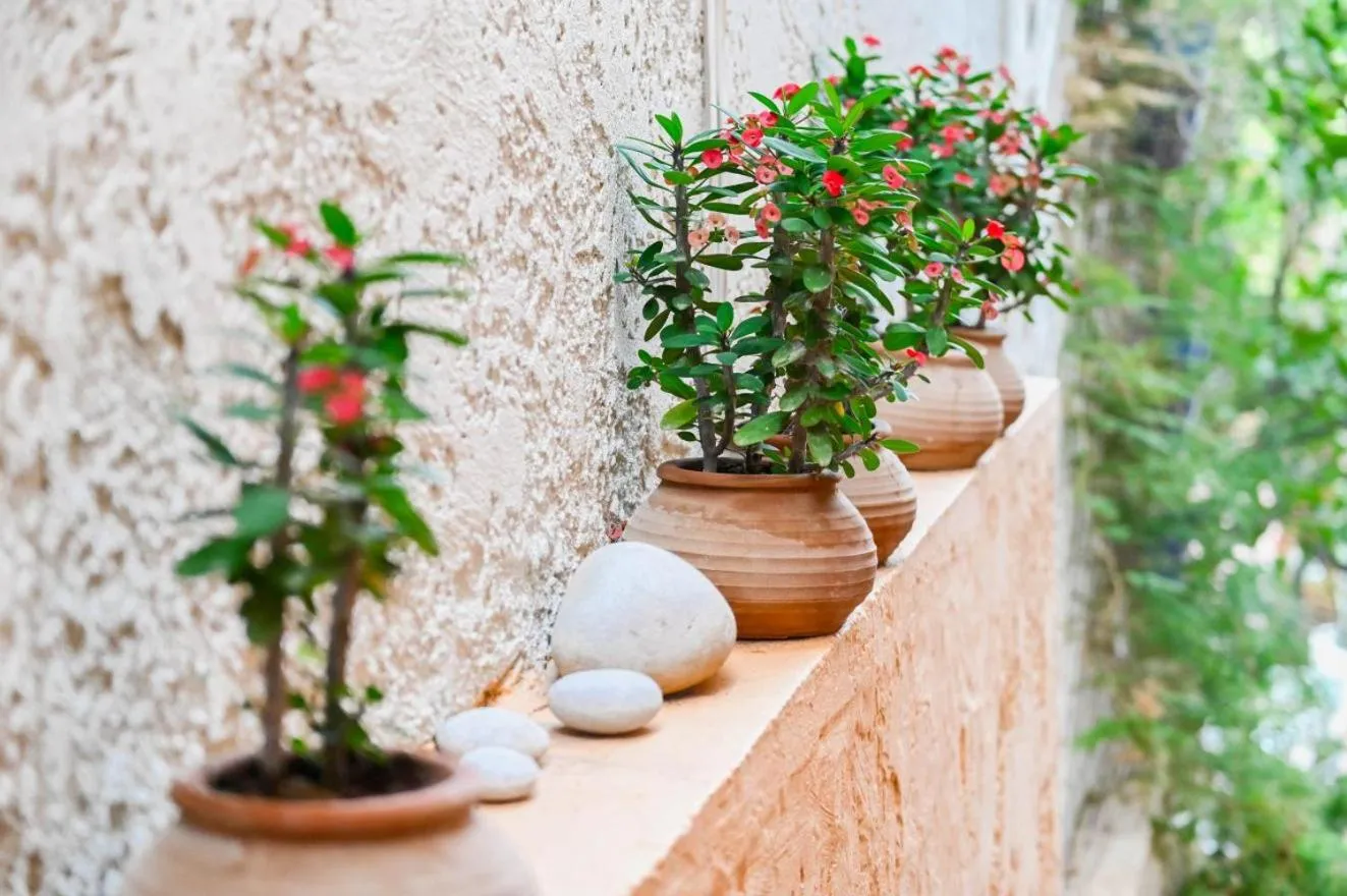 Property building in Villa Iokasti