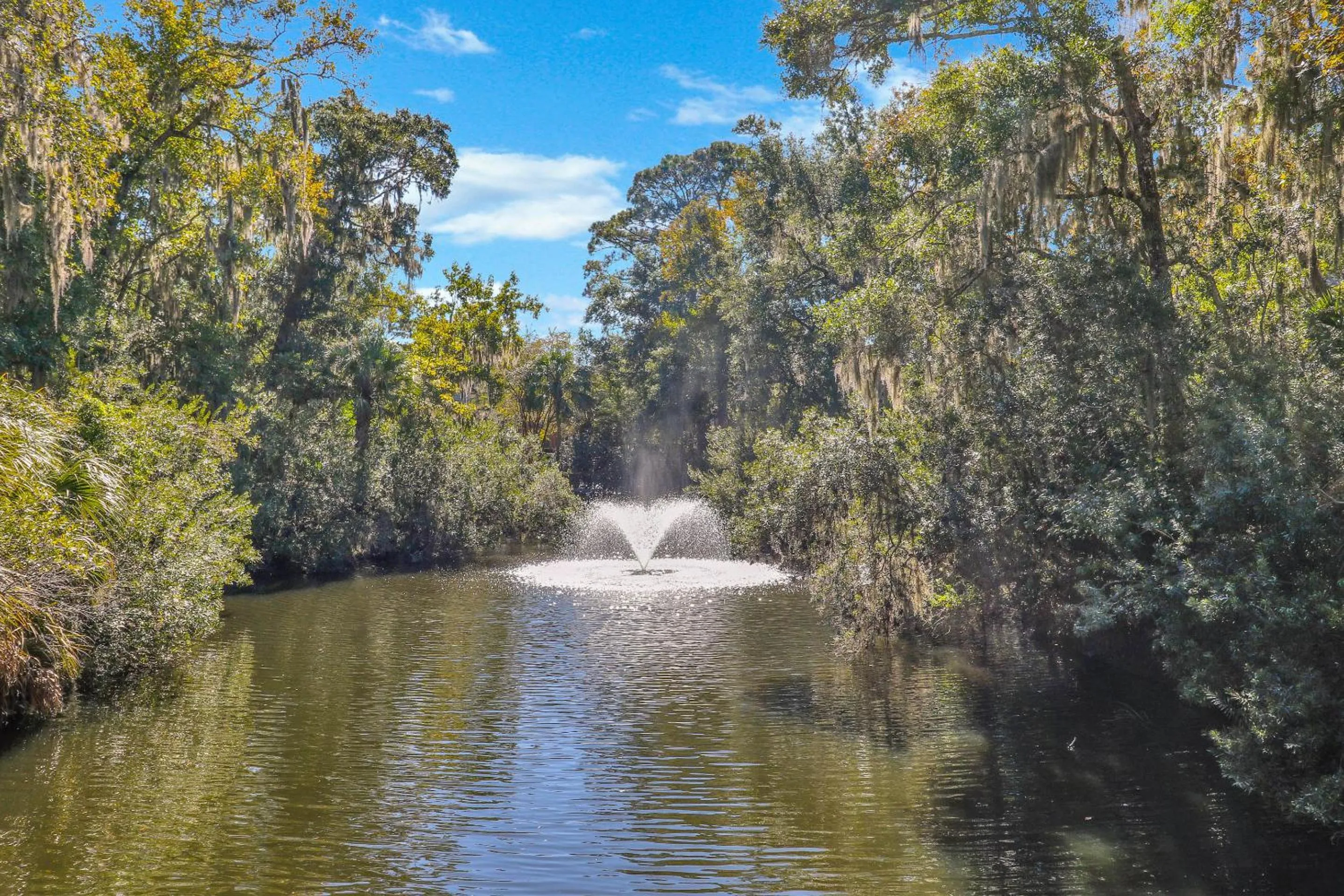 Property building in Treetops 6101