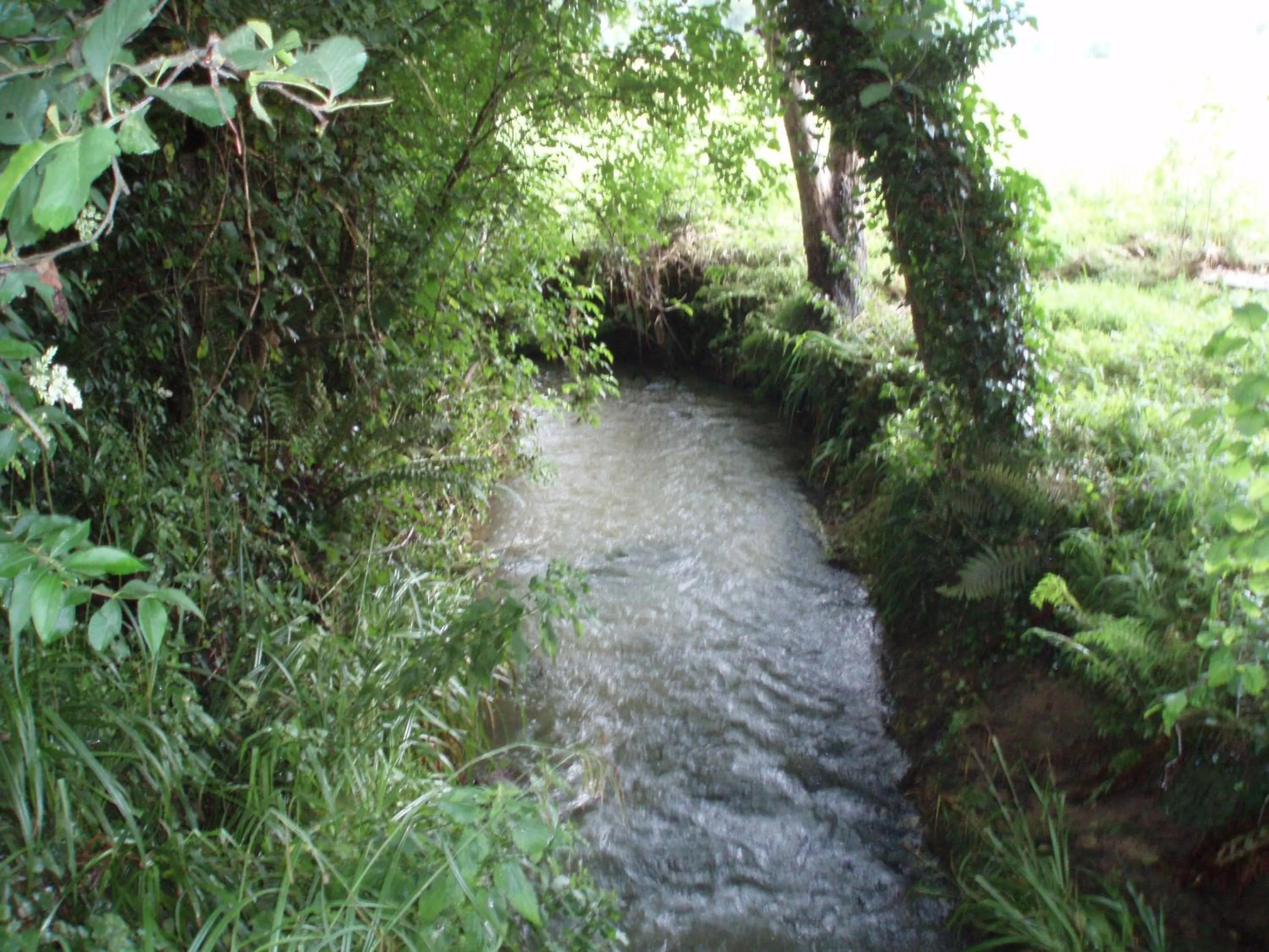 Natural landscape in Posada La Torre de La Quintana