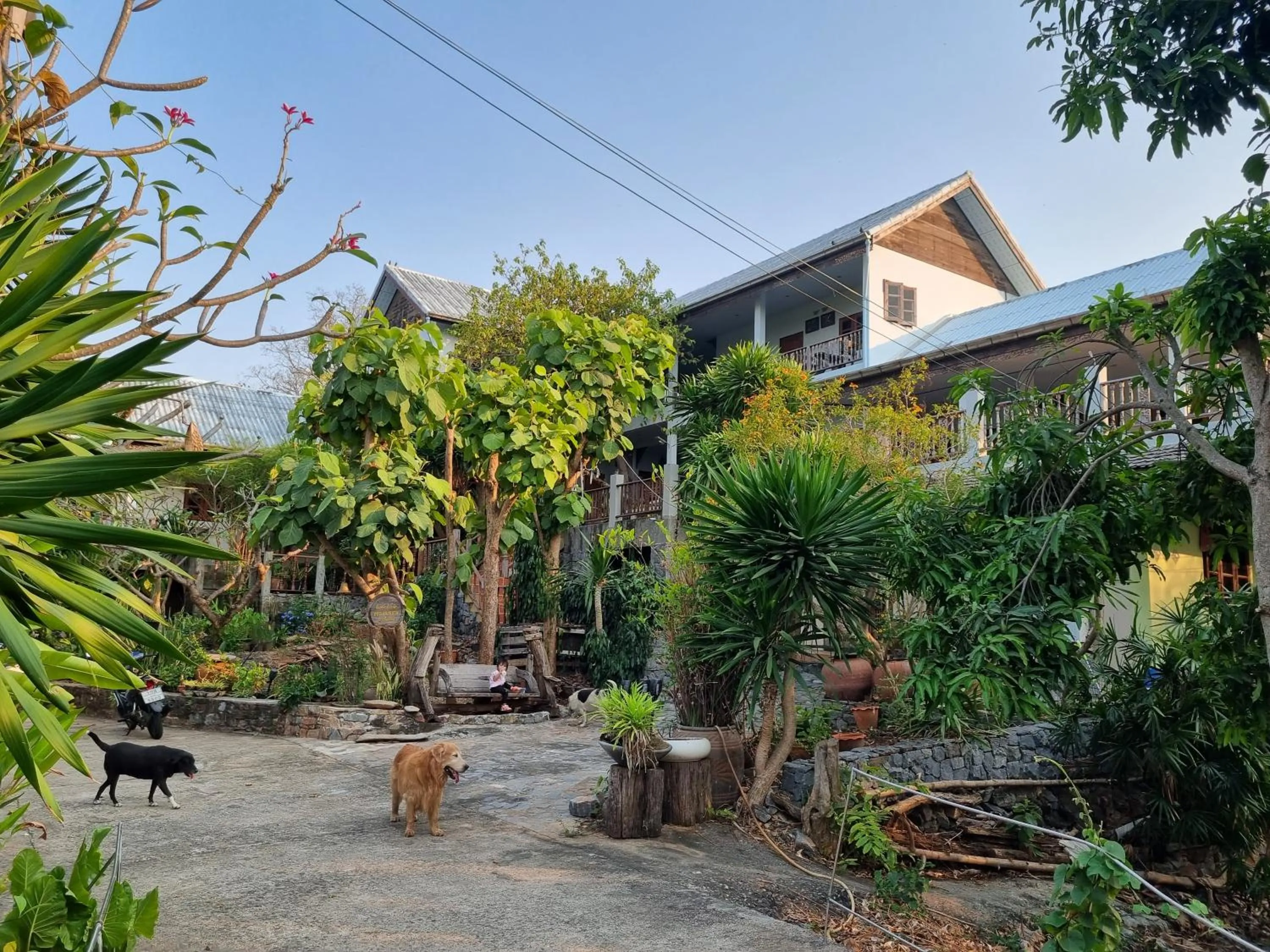 Property building in Sawasdee Sichang