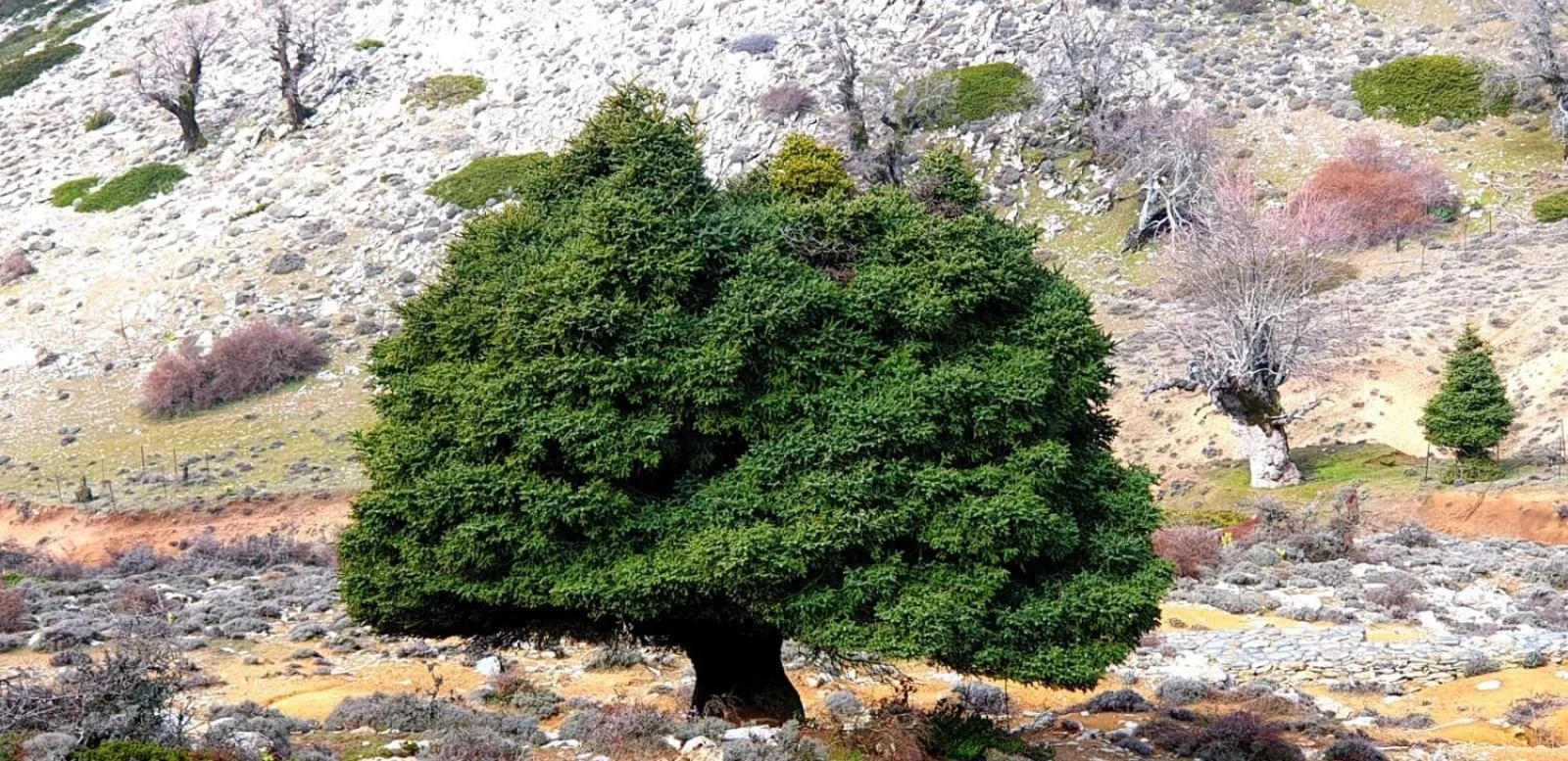 Hotel Sierra Hidalga