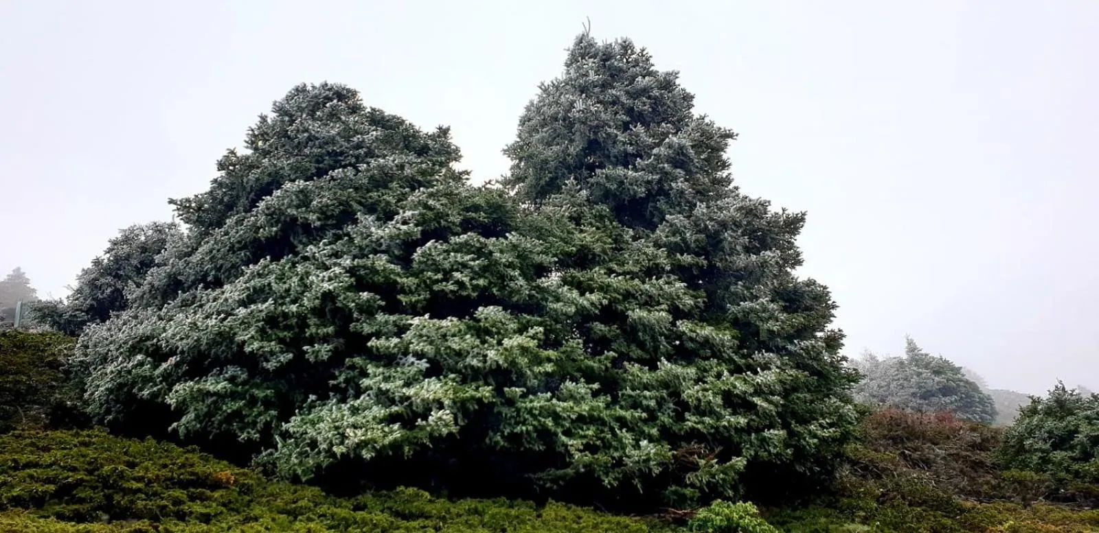Hotel Sierra Hidalga