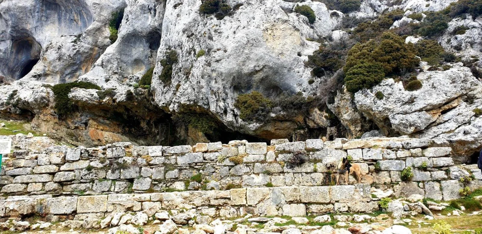 Hotel Sierra Hidalga