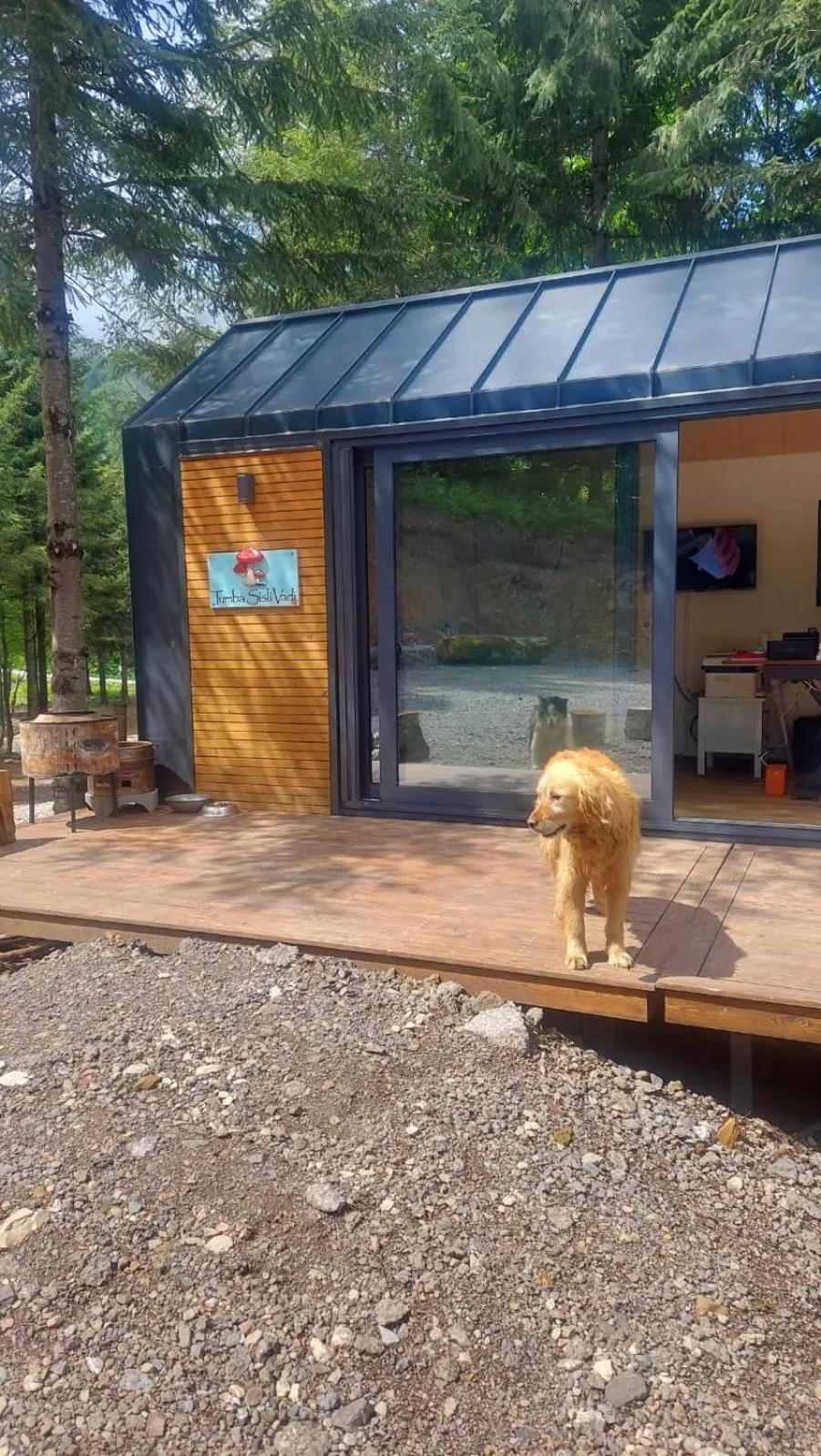 Property building in Tumba Sisli Vadi