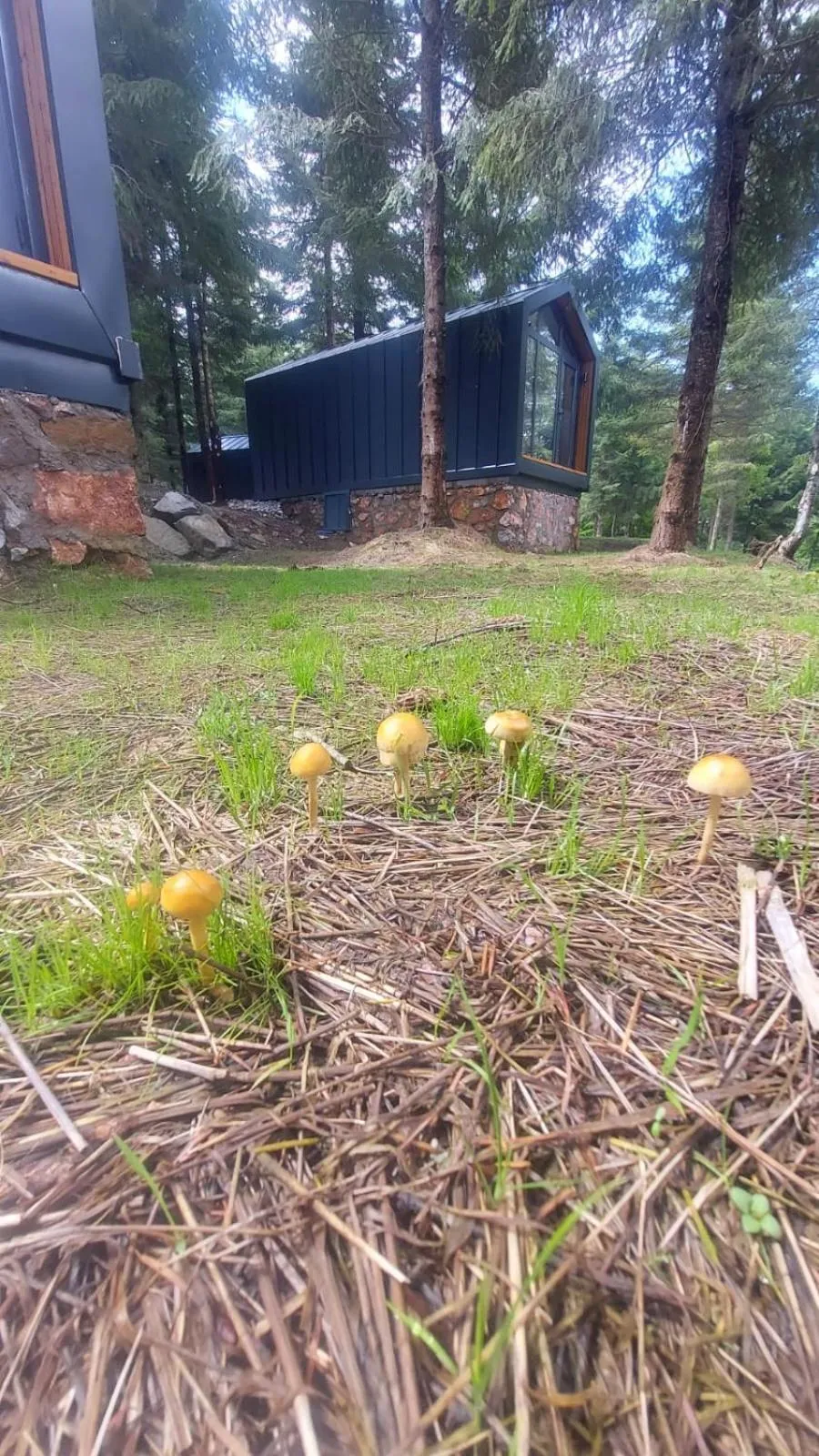 Natural landscape in Tumba Sisli Vadi