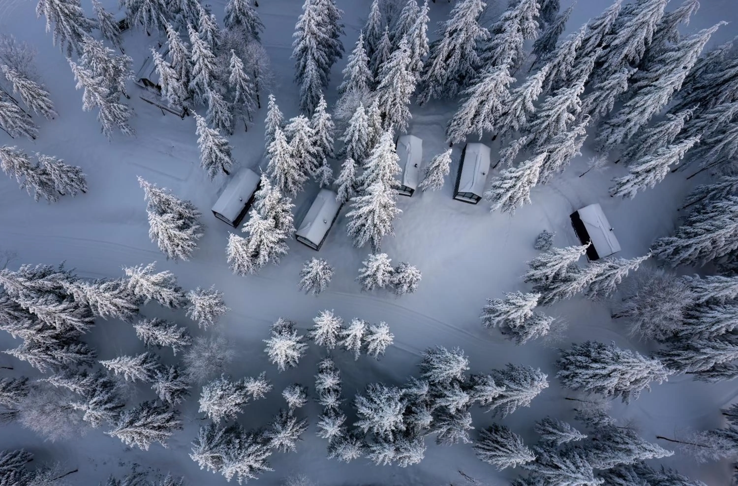 Day in Tumba Sisli Vadi