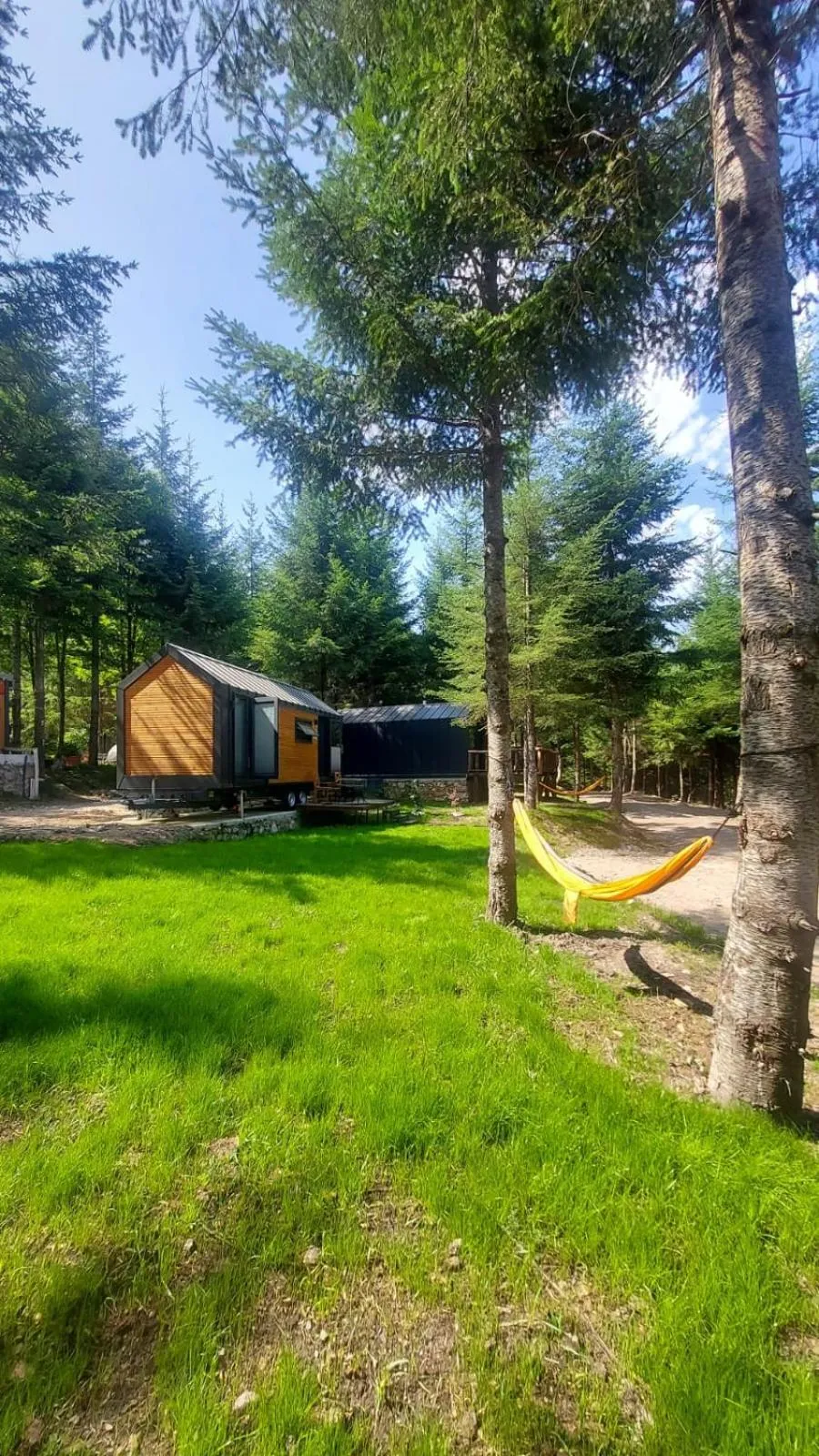 Spring in Tumba Sisli Vadi