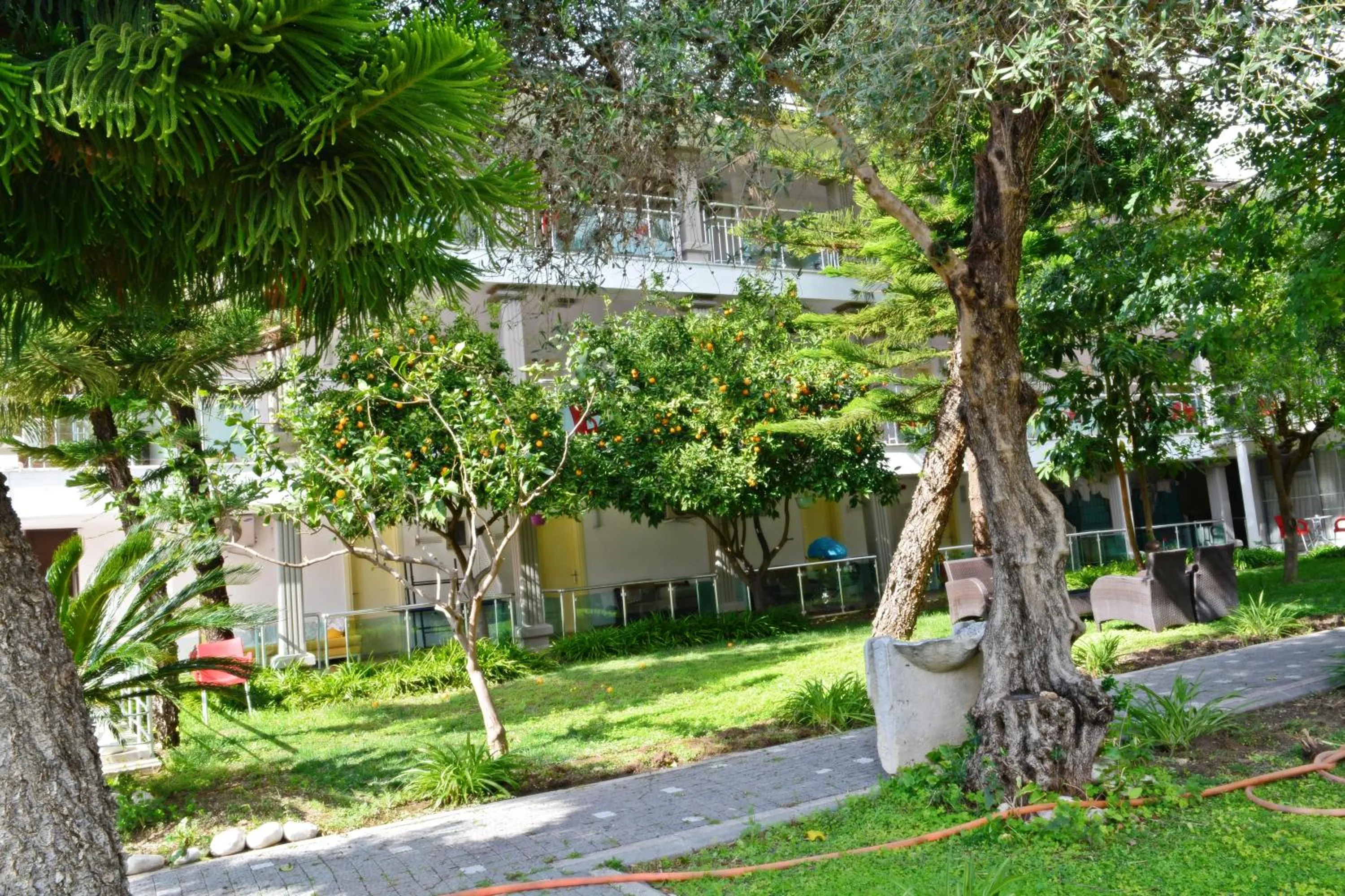 Spring in Clover Magic Nova Beach Hotel