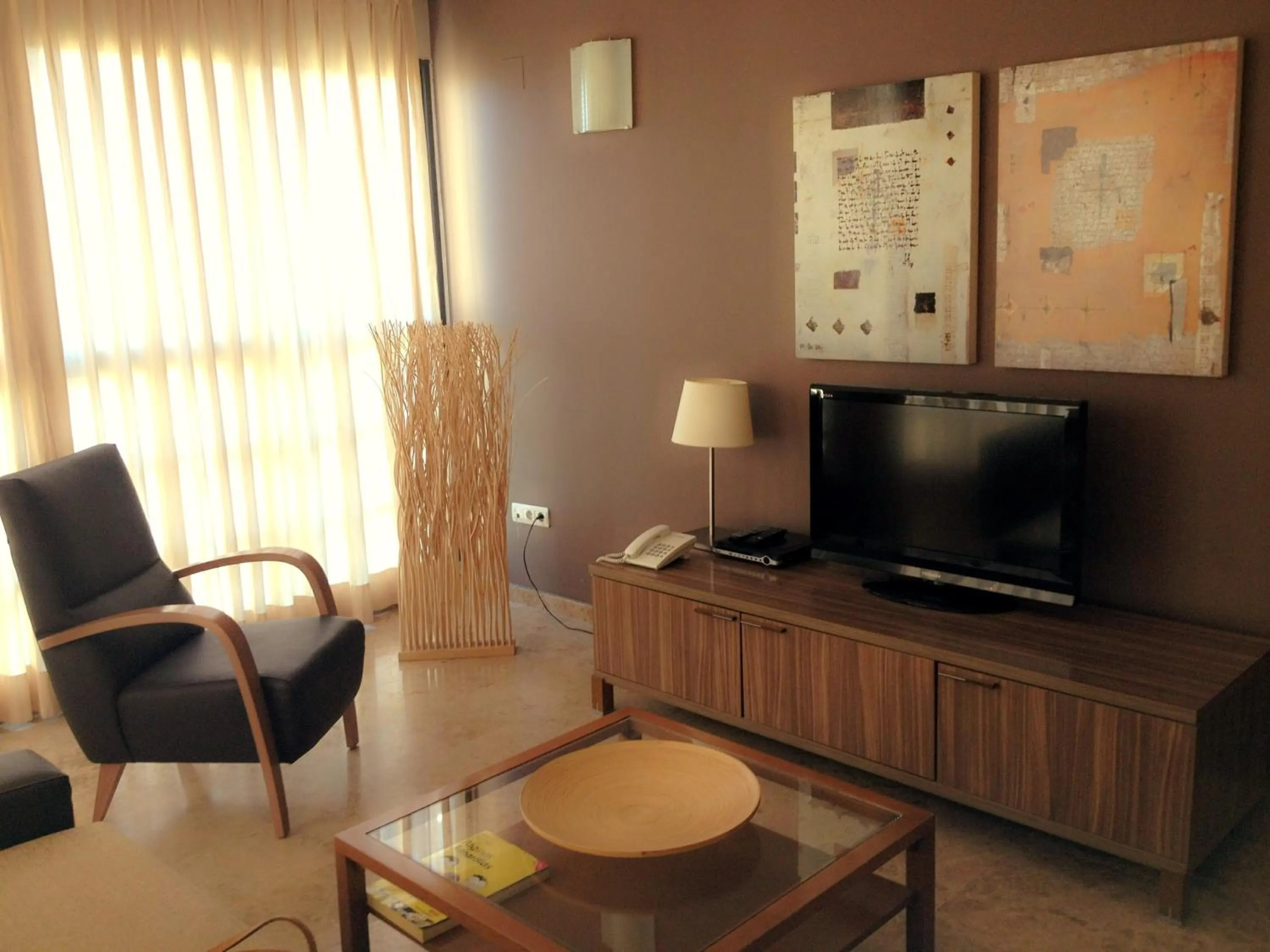 TV and multimedia in Apartamentos Plaza Picasso