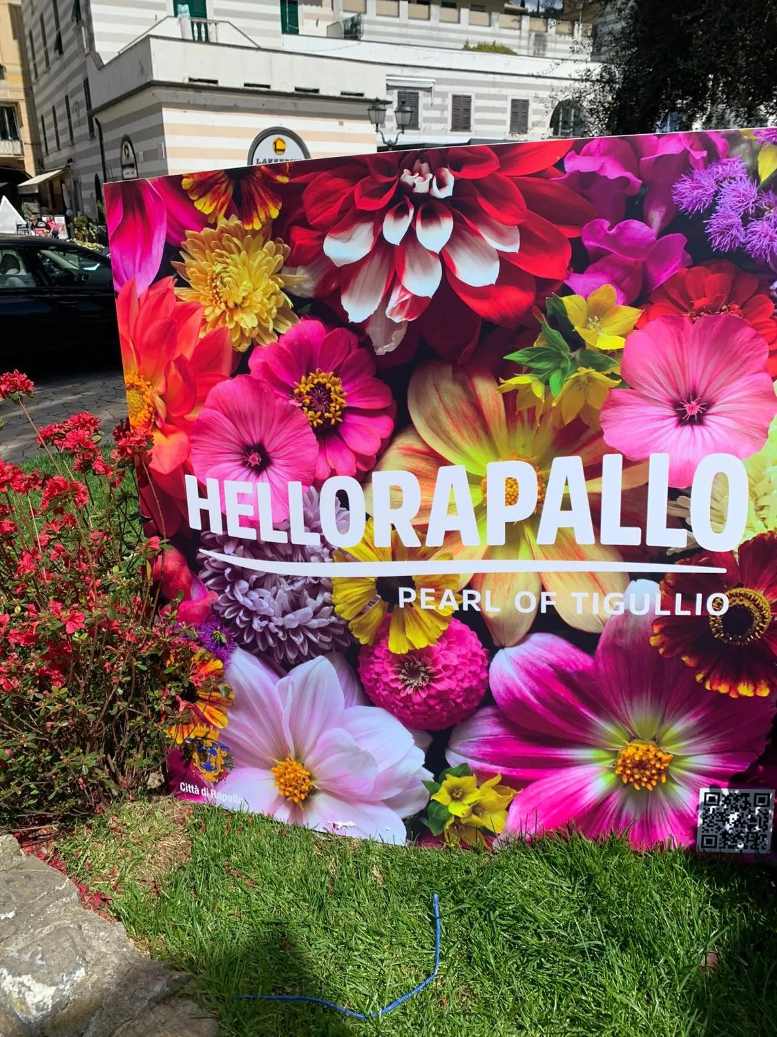 Spring in Hotel Fernanda