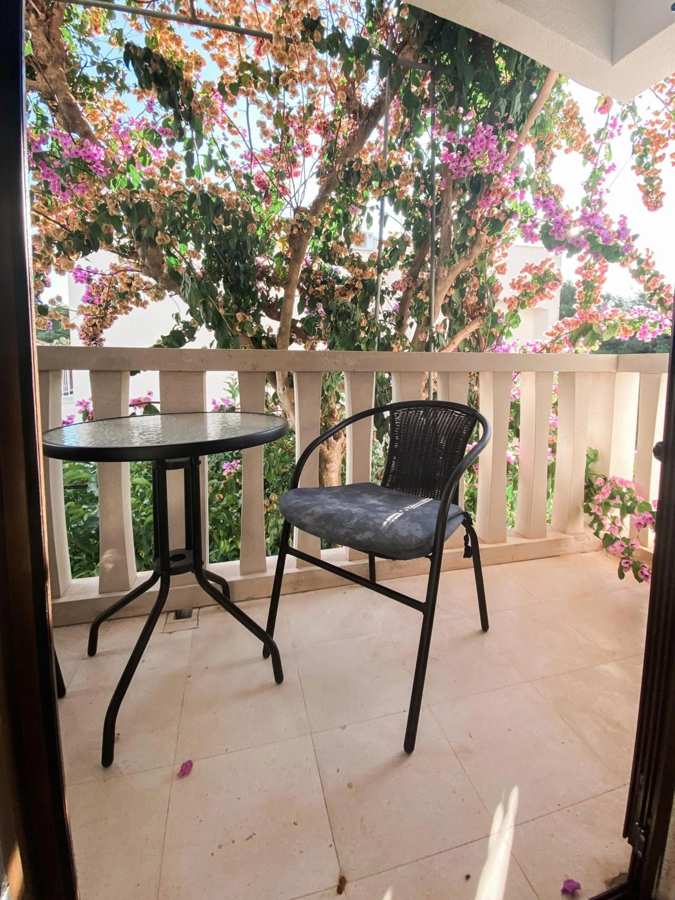 View (from property/room) in VILLA MARE