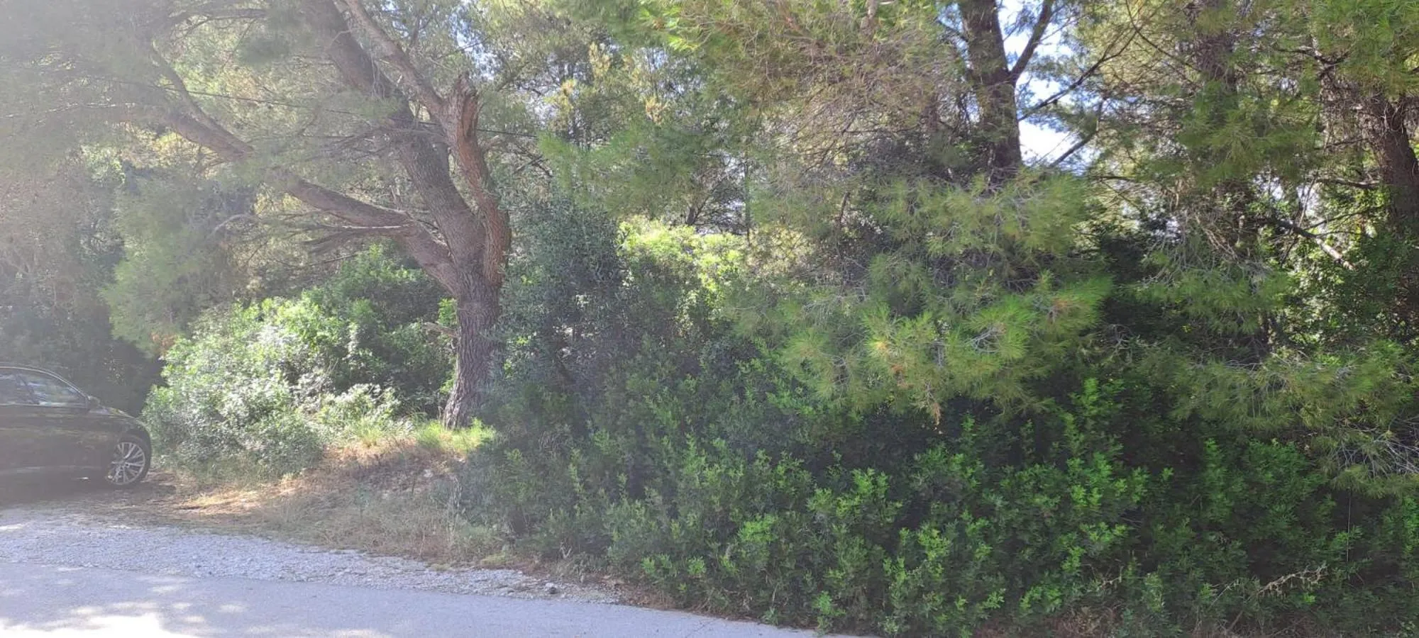Natural landscape in VILLA MARE