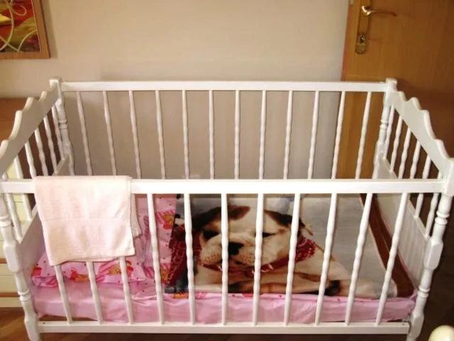 cot, Bed in VILLA MARE