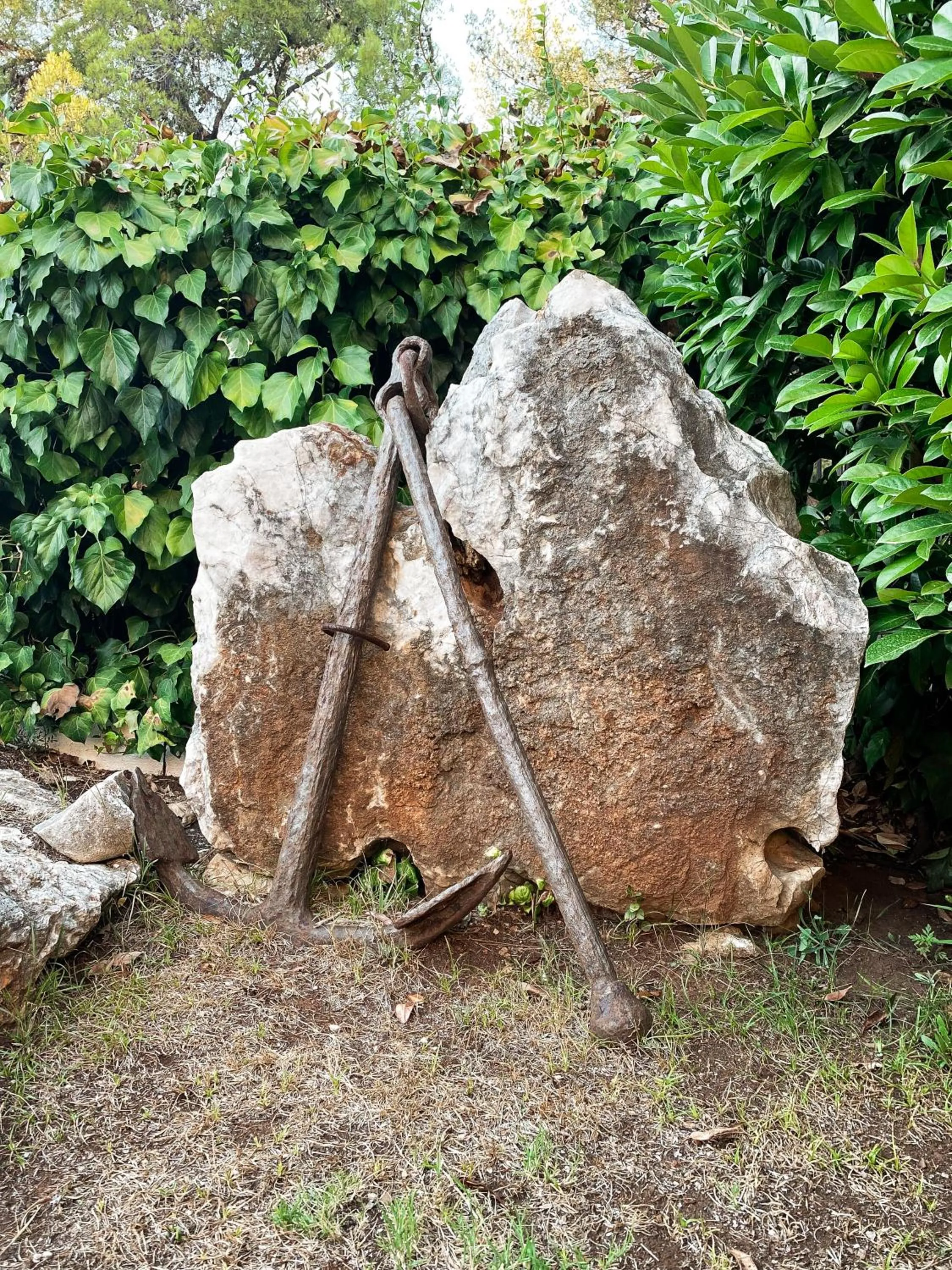 Natural landscape in VILLA MARE