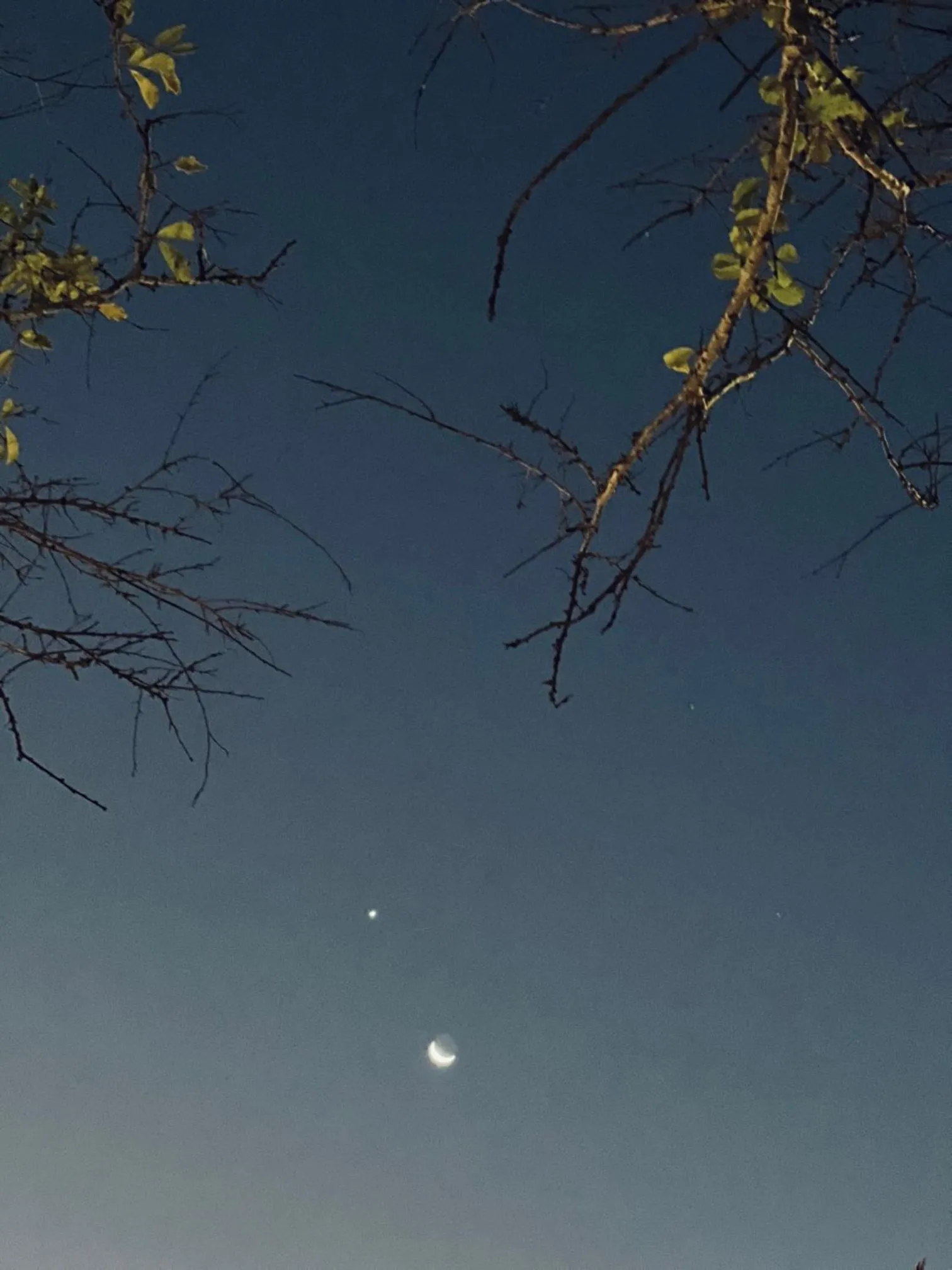 Night in Formosa Beach Club & Bungalow