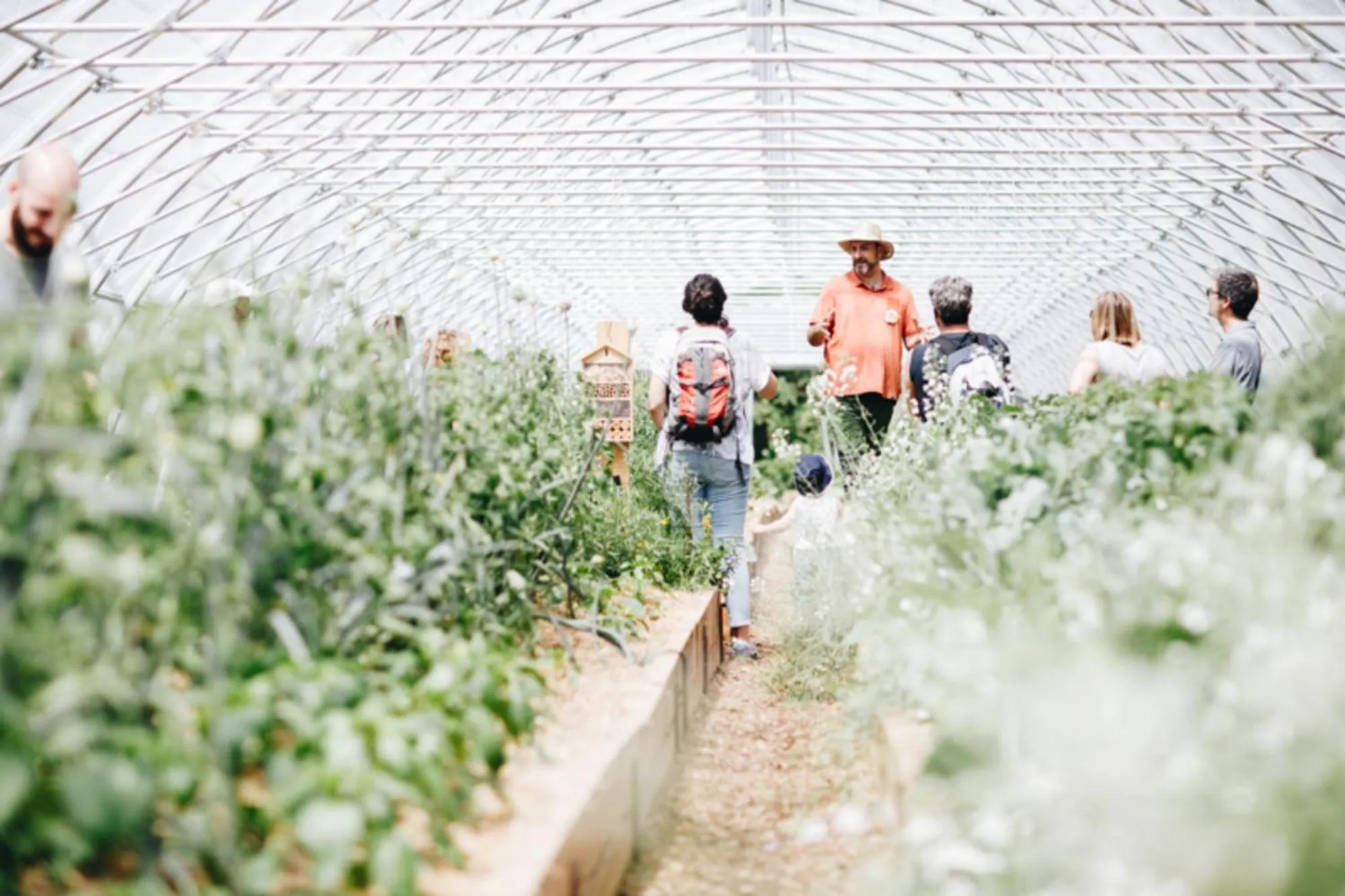 Activities in Cerdanya Viva Ecoestades