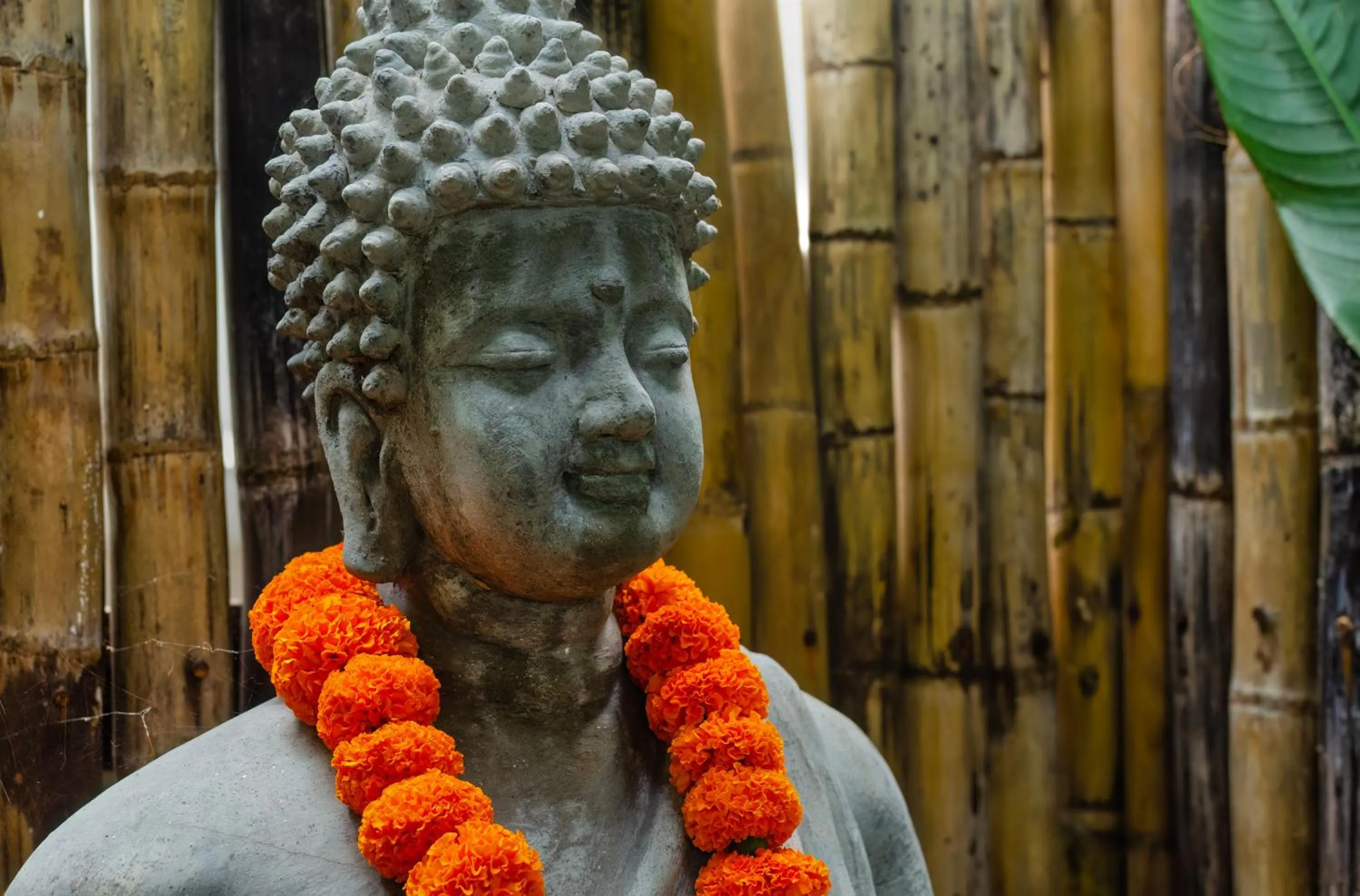 Garden in Chic stay HANA Boutique hotel xxxx Possible noise from the construction next to our property