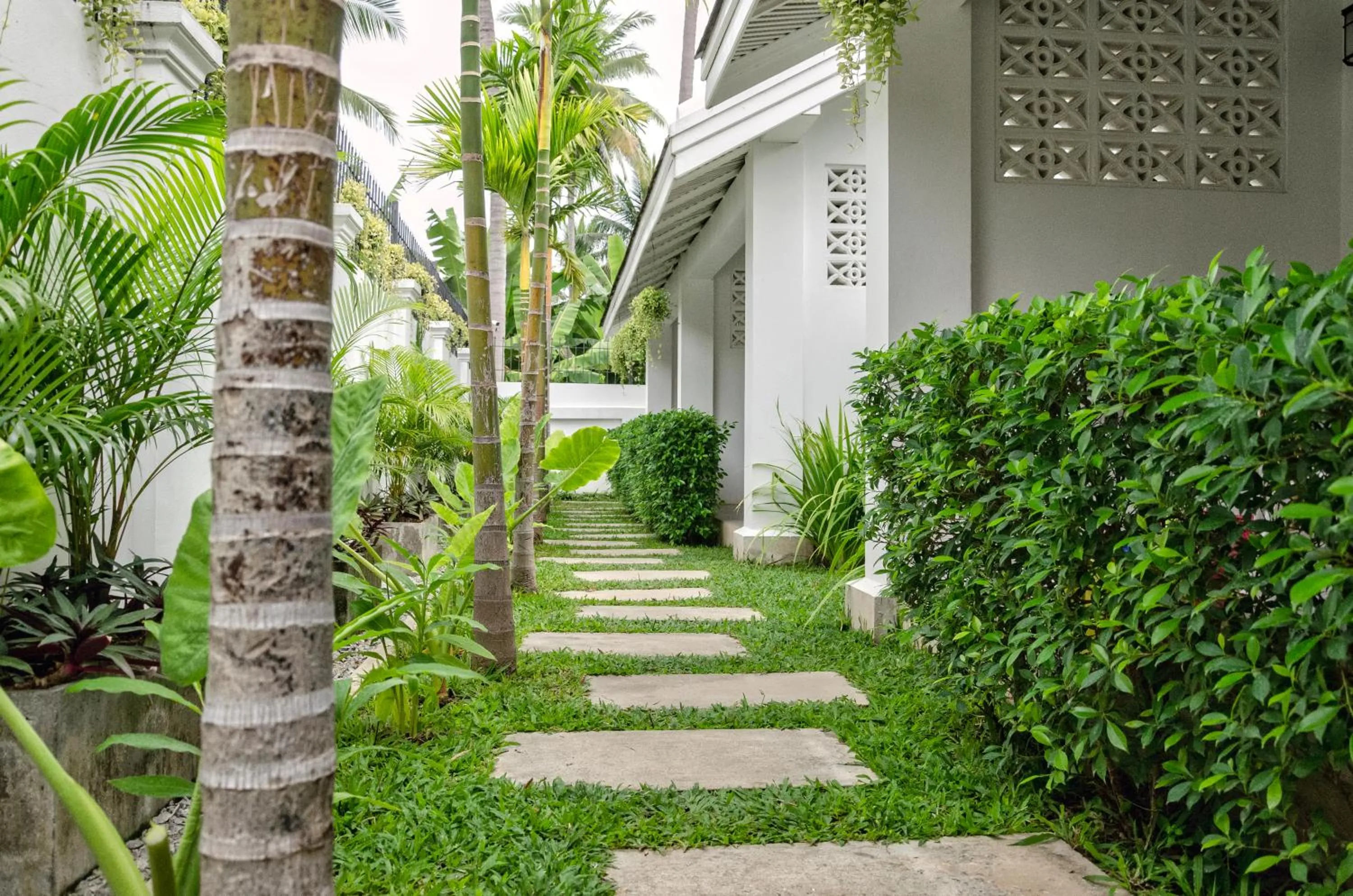 Garden in Chic stay HANA Boutique hotel xxxx Possible noise from the construction next to our property