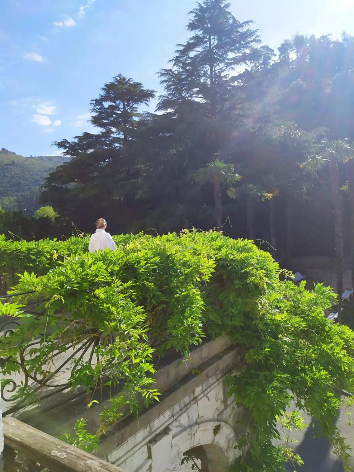 Natural landscape in Balneario de Cestona