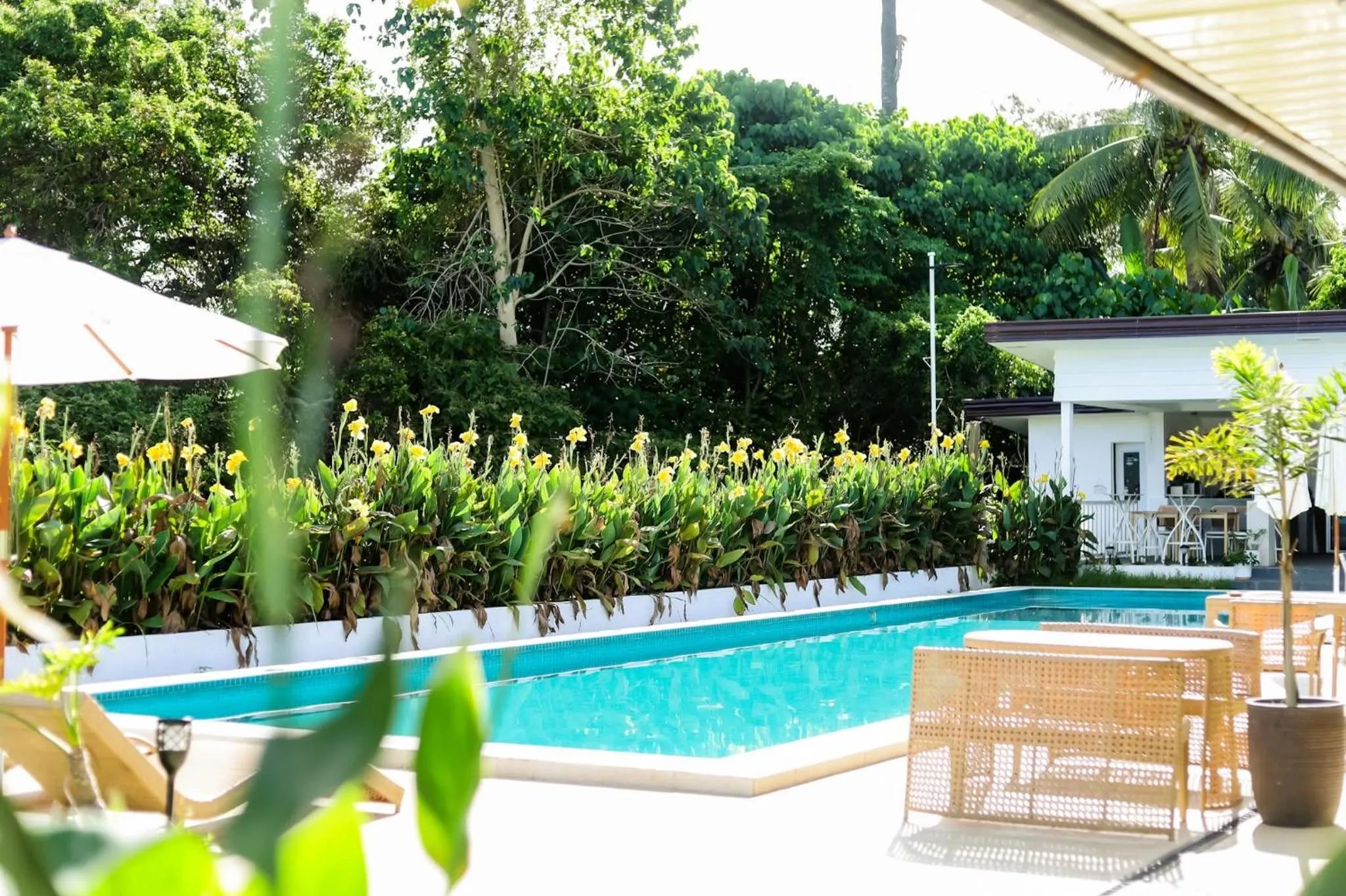 Canna Boutique Hostel