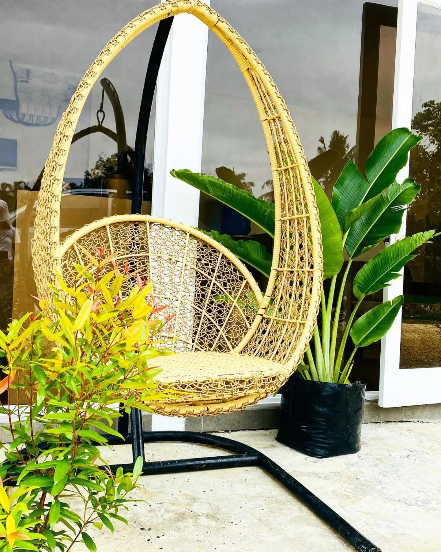 Garden view in Canna Boutique Hostel