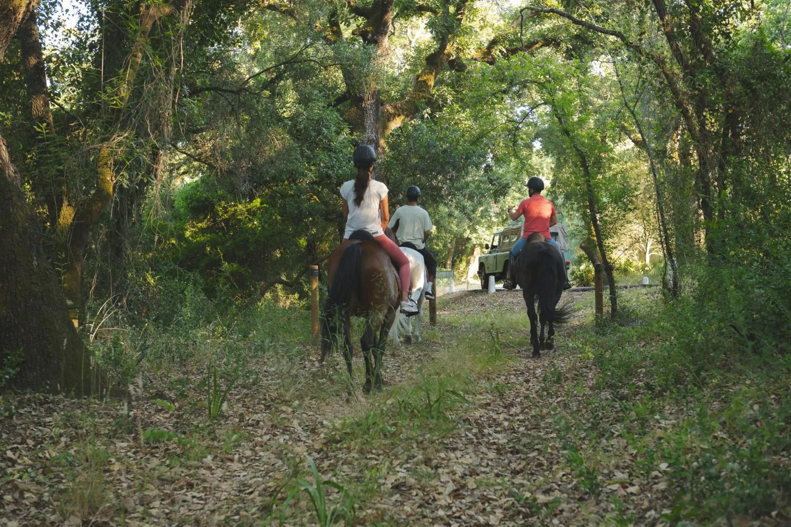Horse-riding in AZZ Castellar Hacienda El Alcornocal