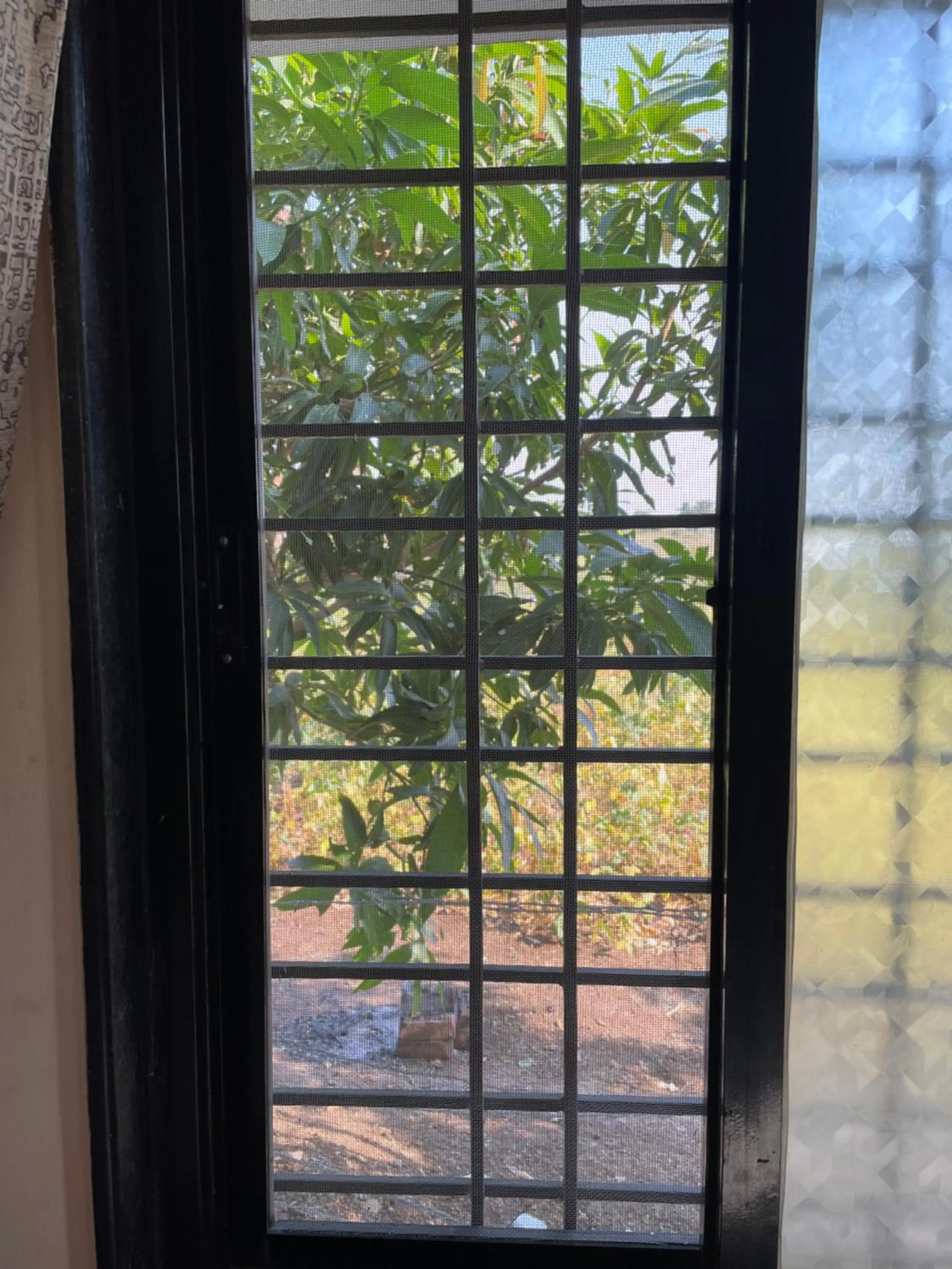 Garden view in Mango Mist Farm Stay