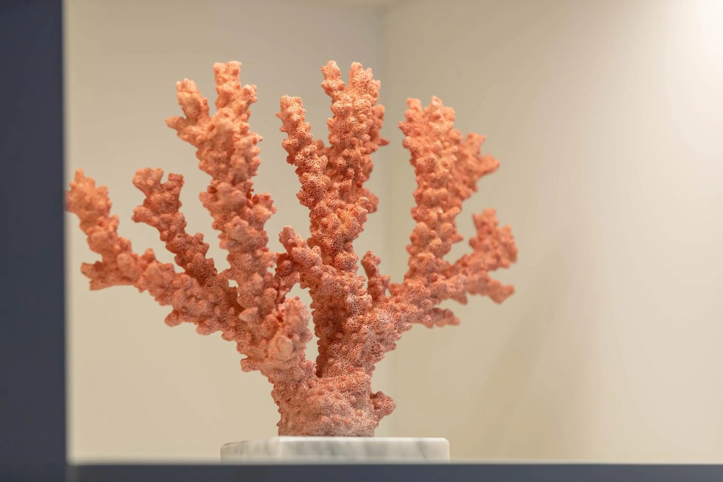 Decorative detail in Hotel Claude Marbella