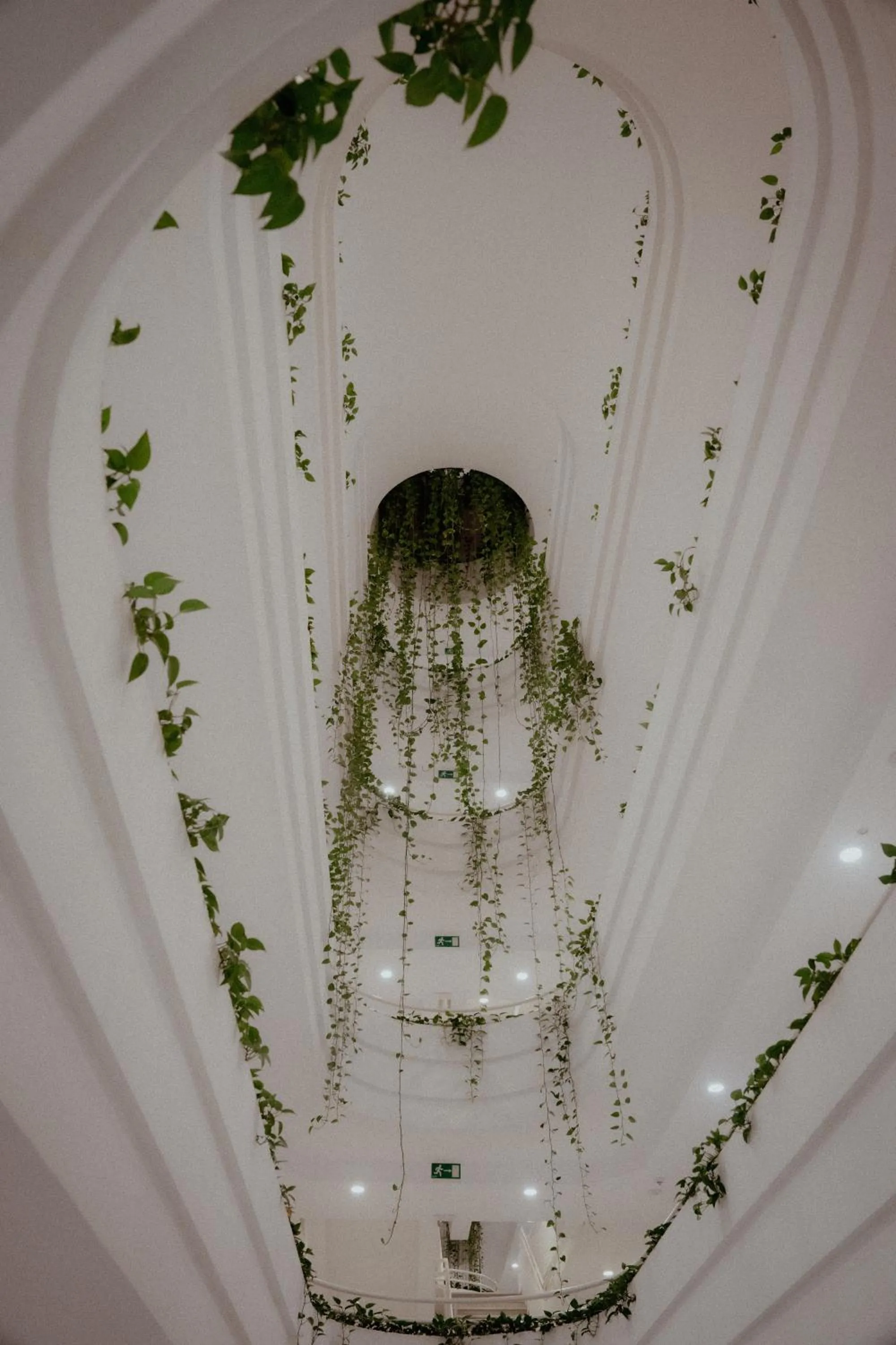 Patio in Hotel Helios Costa Tropical