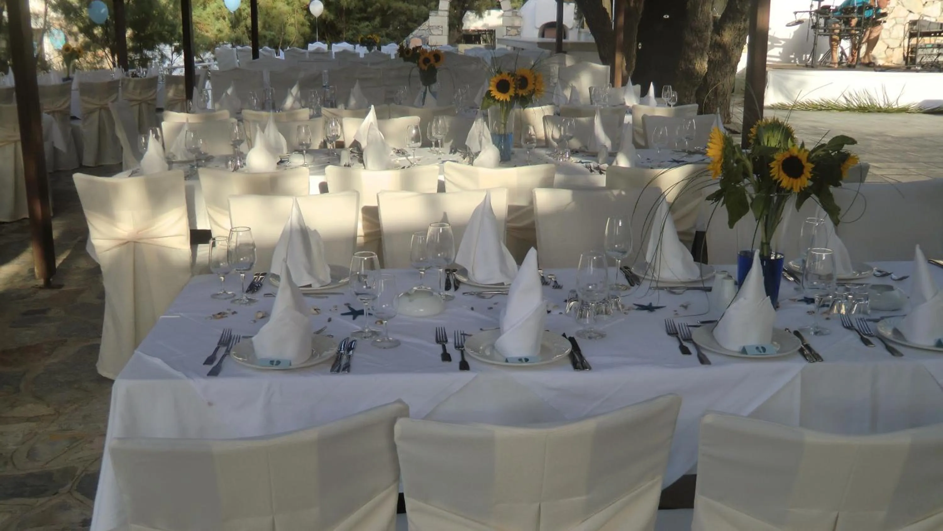 Banquet/Function facilities in Istron Bay Hotel