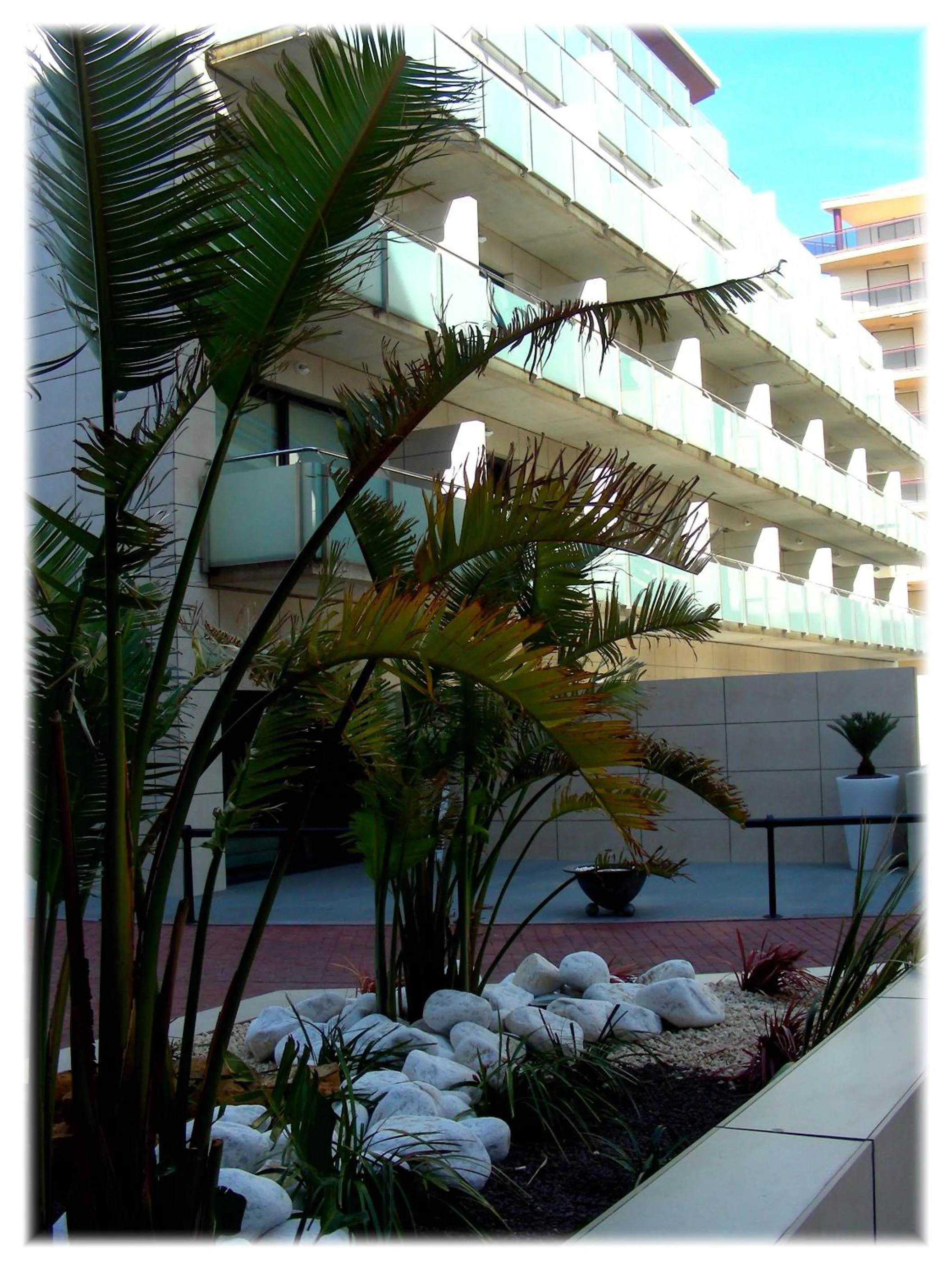 Facade/entrance in Hotel Acuazul
