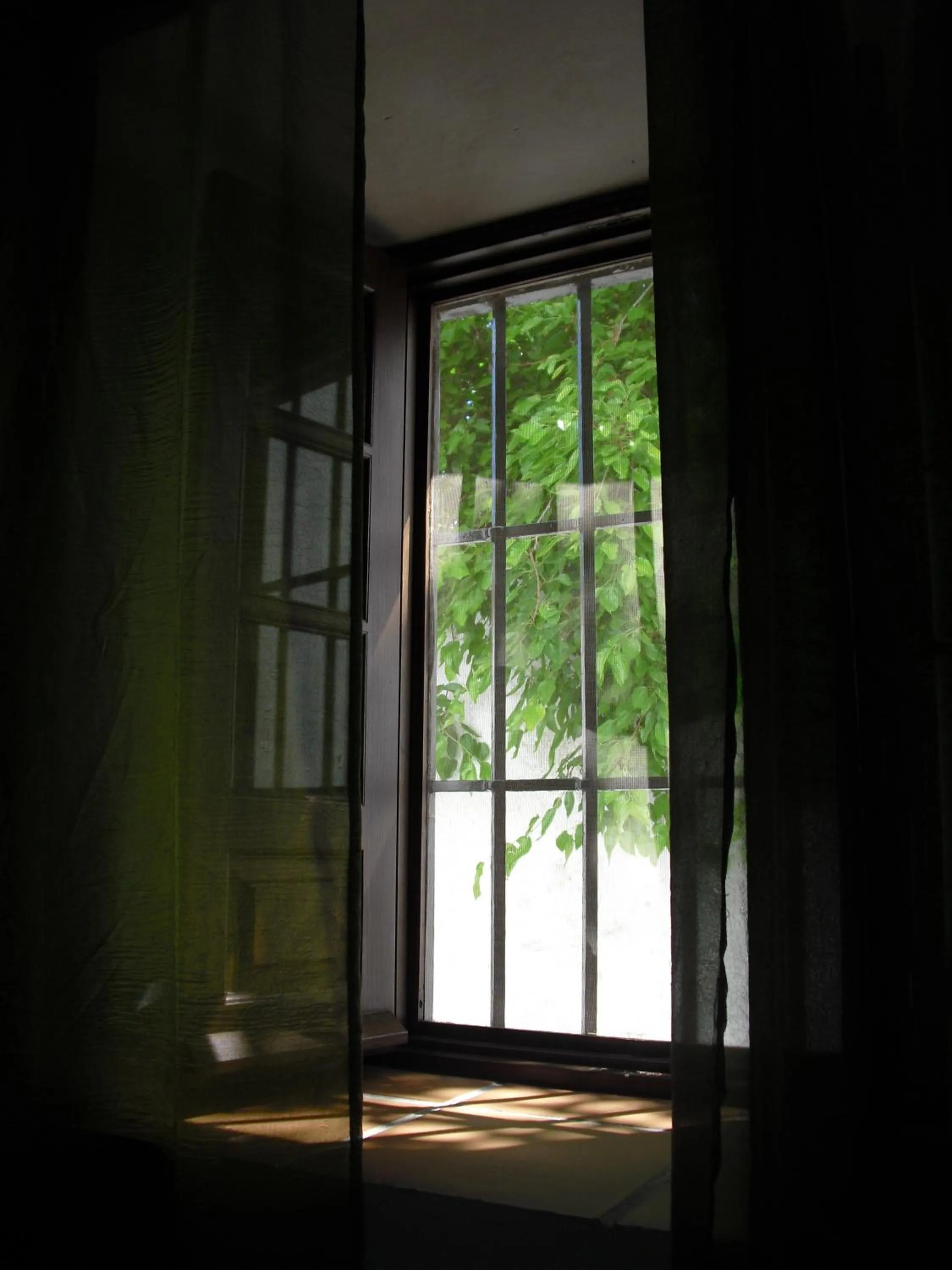 Street view in Ronda